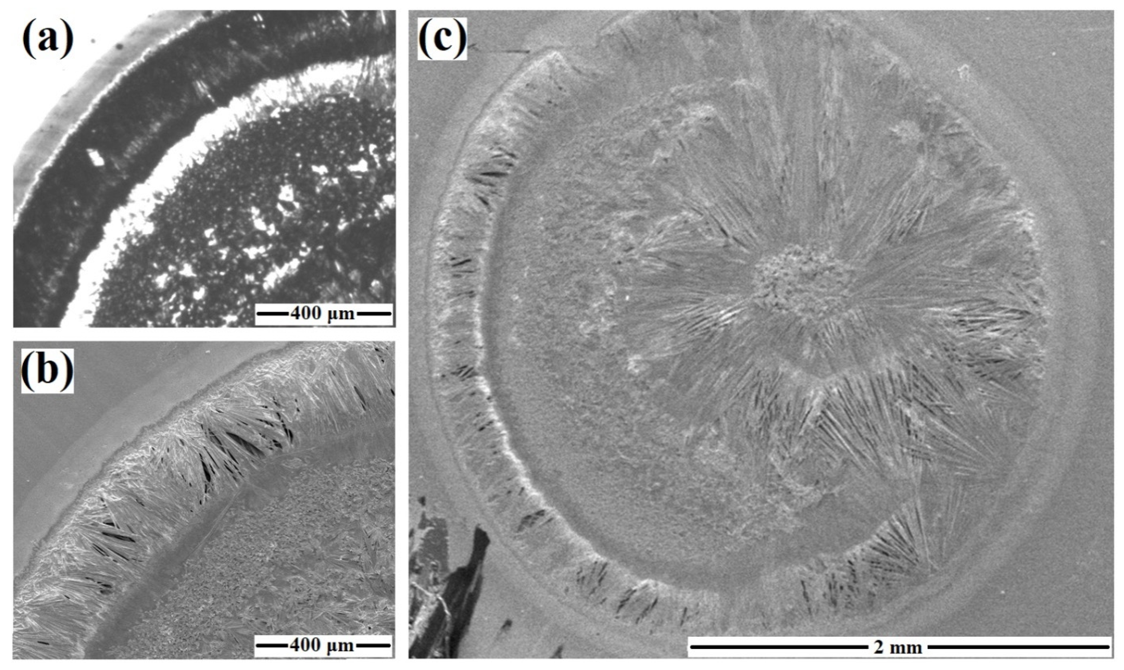 Electronics 10 01904 g004