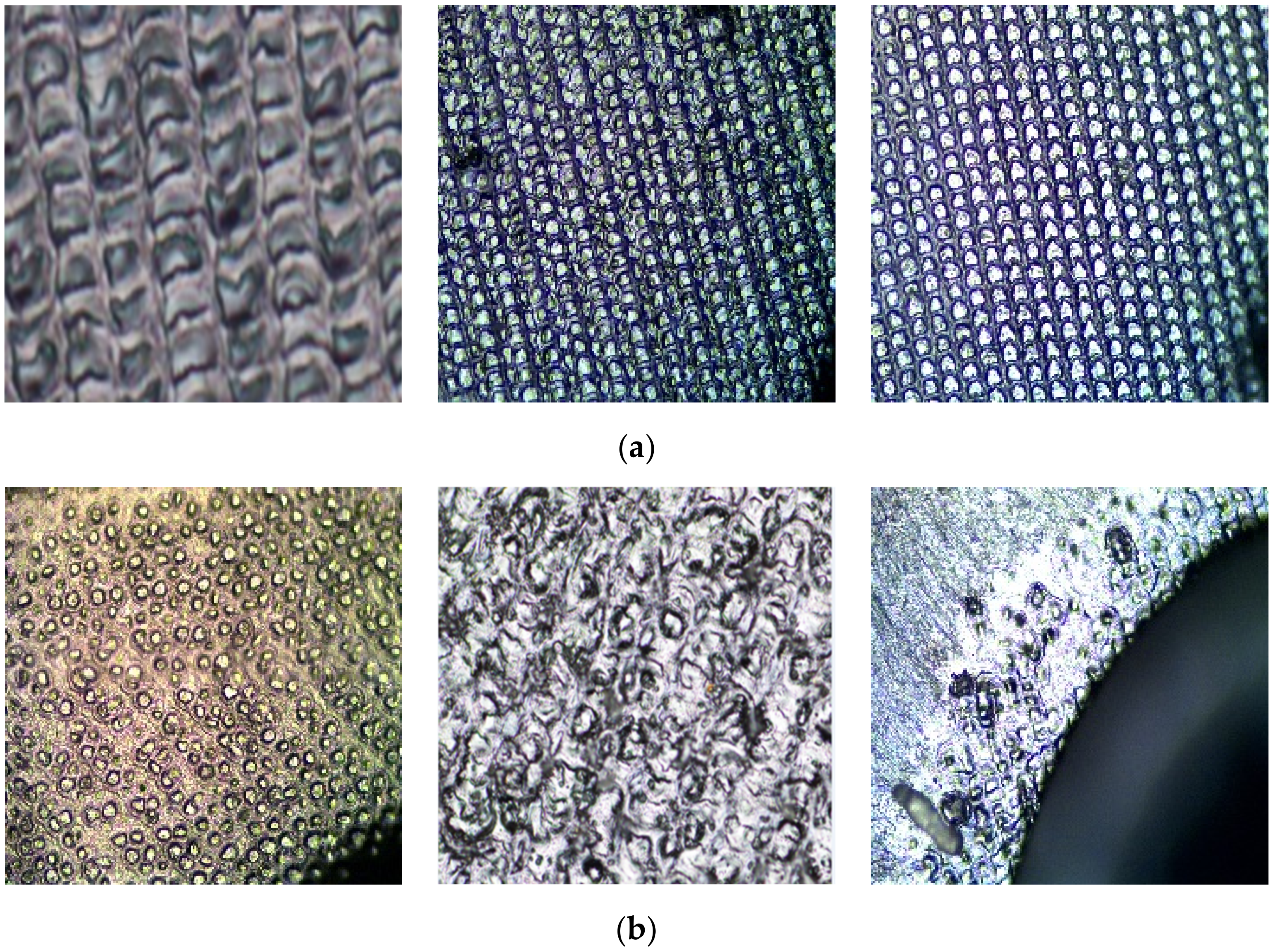 Electronics 10 01993 g003