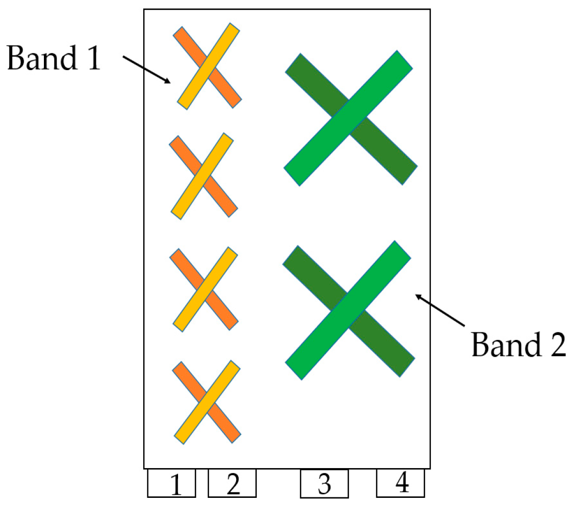 Electronics 10 02000 g009