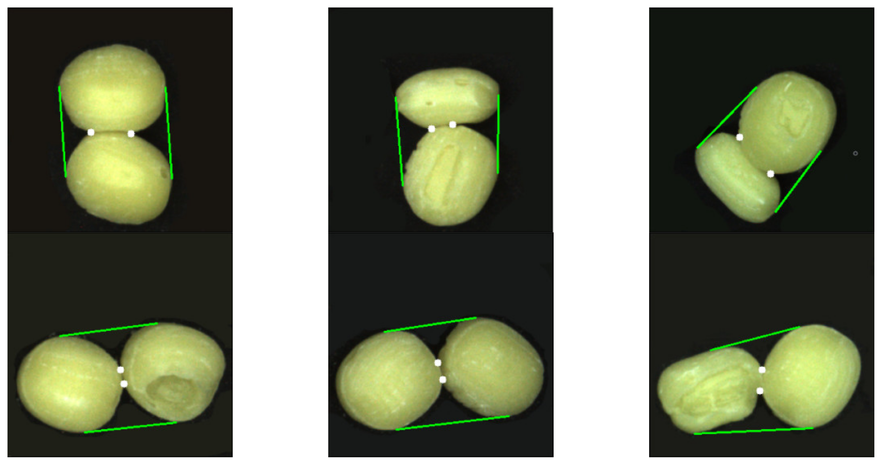 Electronics 10 02017 g008