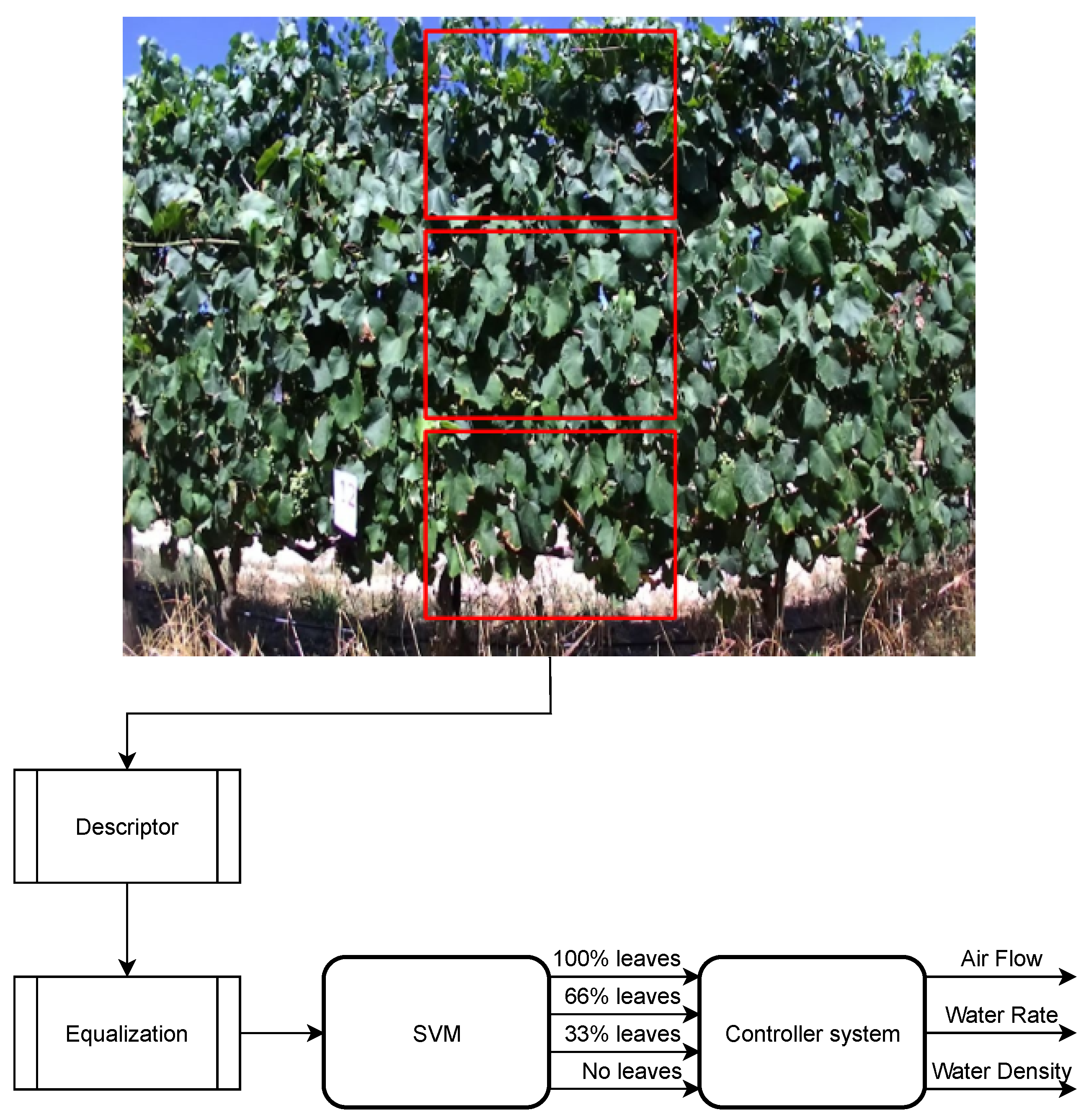 Electronics 10 02061 g006