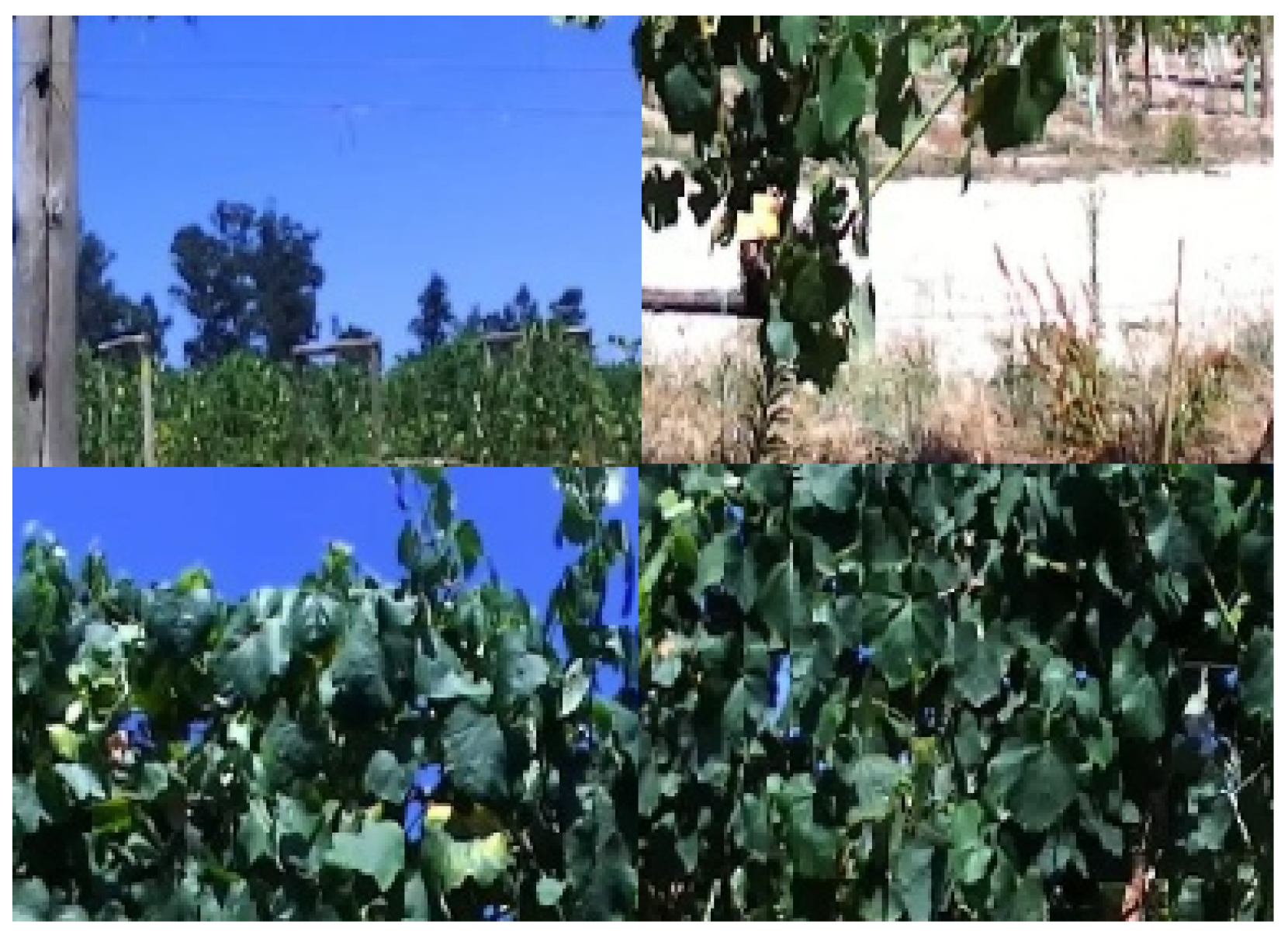 Electronics 10 02061 g007