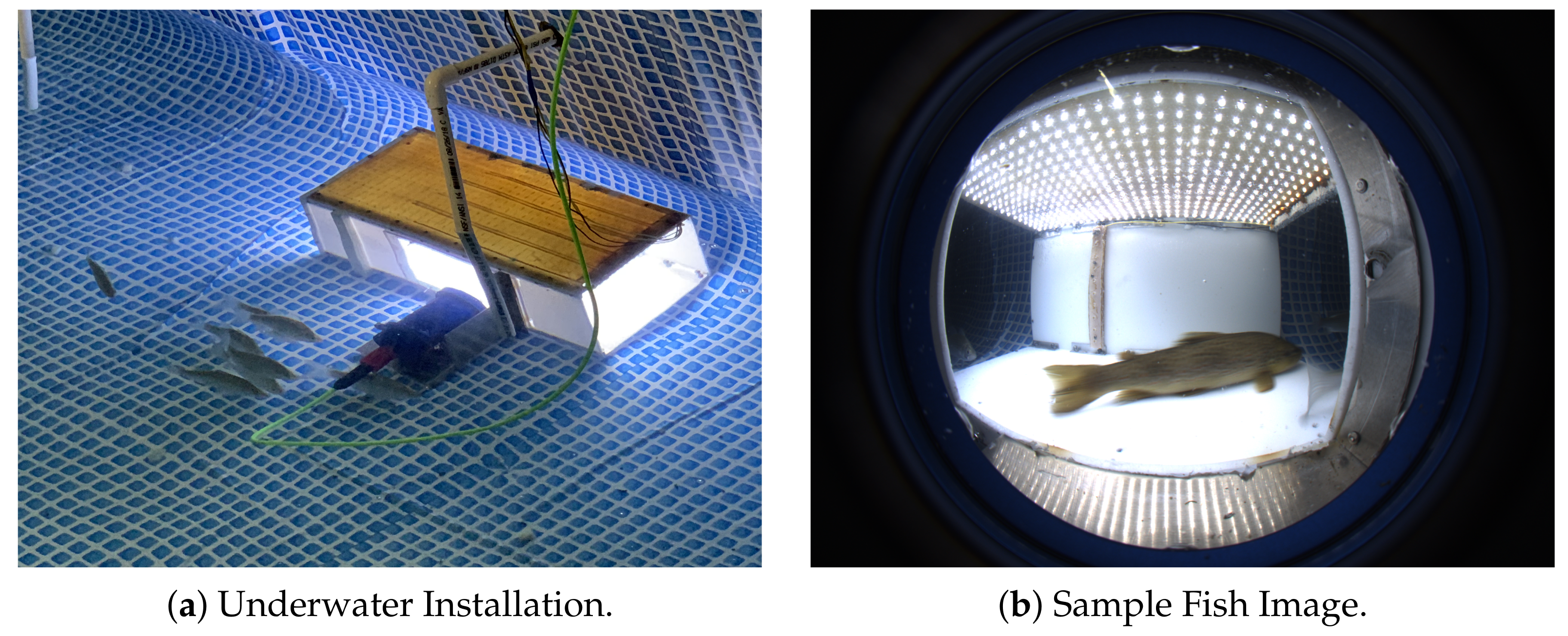 Electronics 10 02182 g002