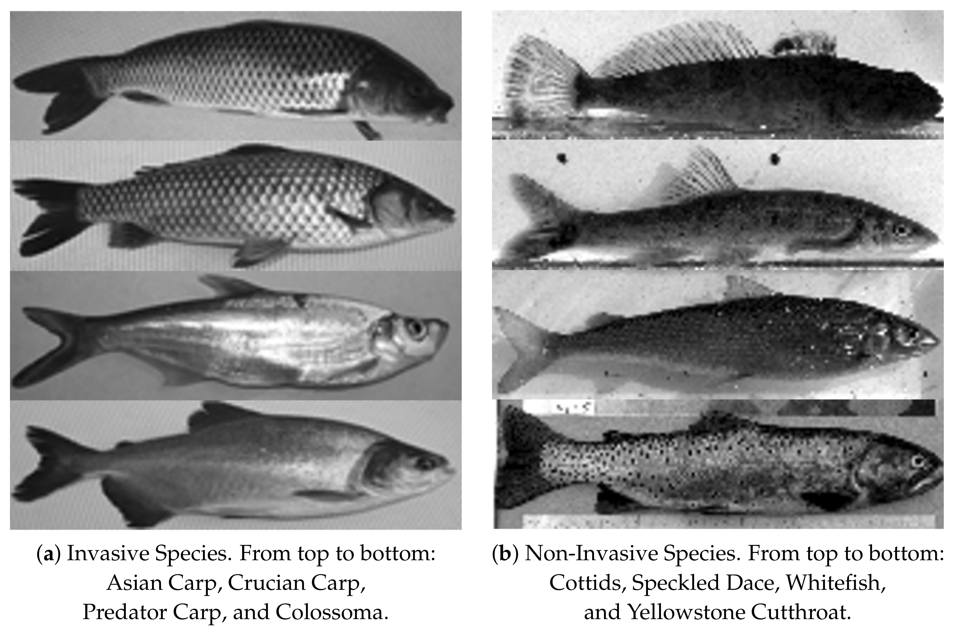 Electronics 10 02182 g008