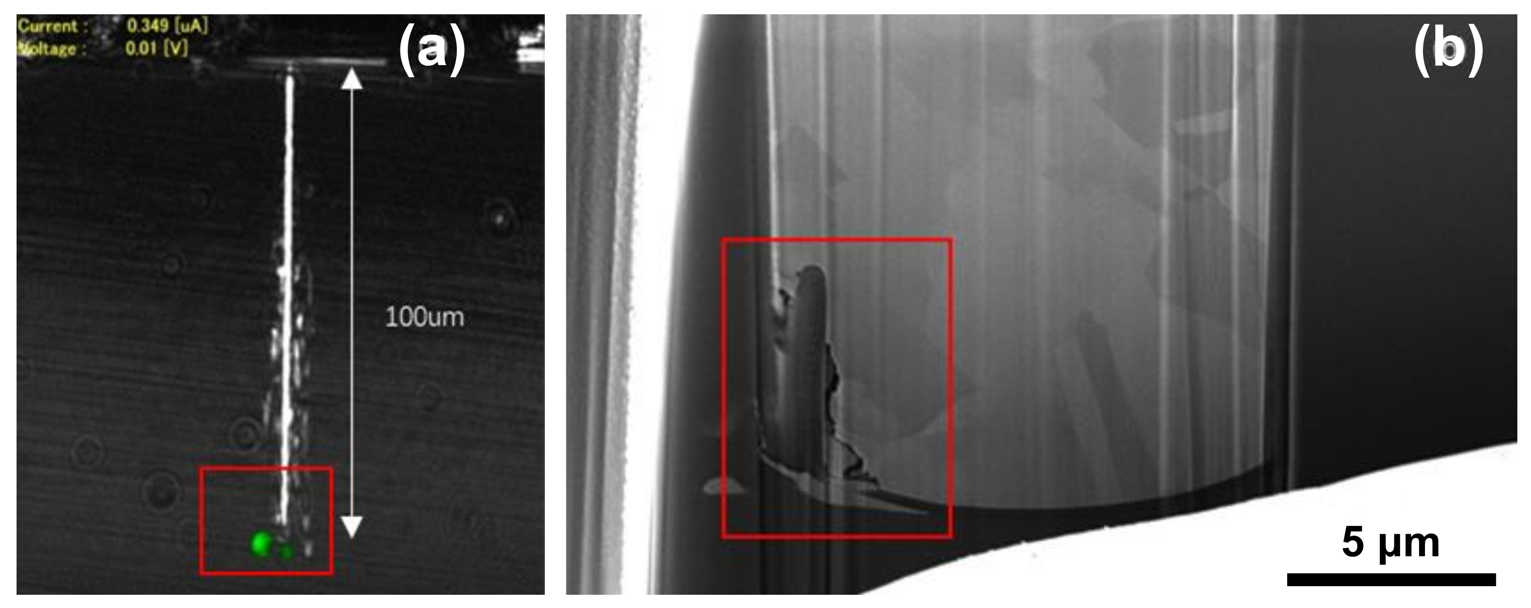 Electronics 10 02370 g008