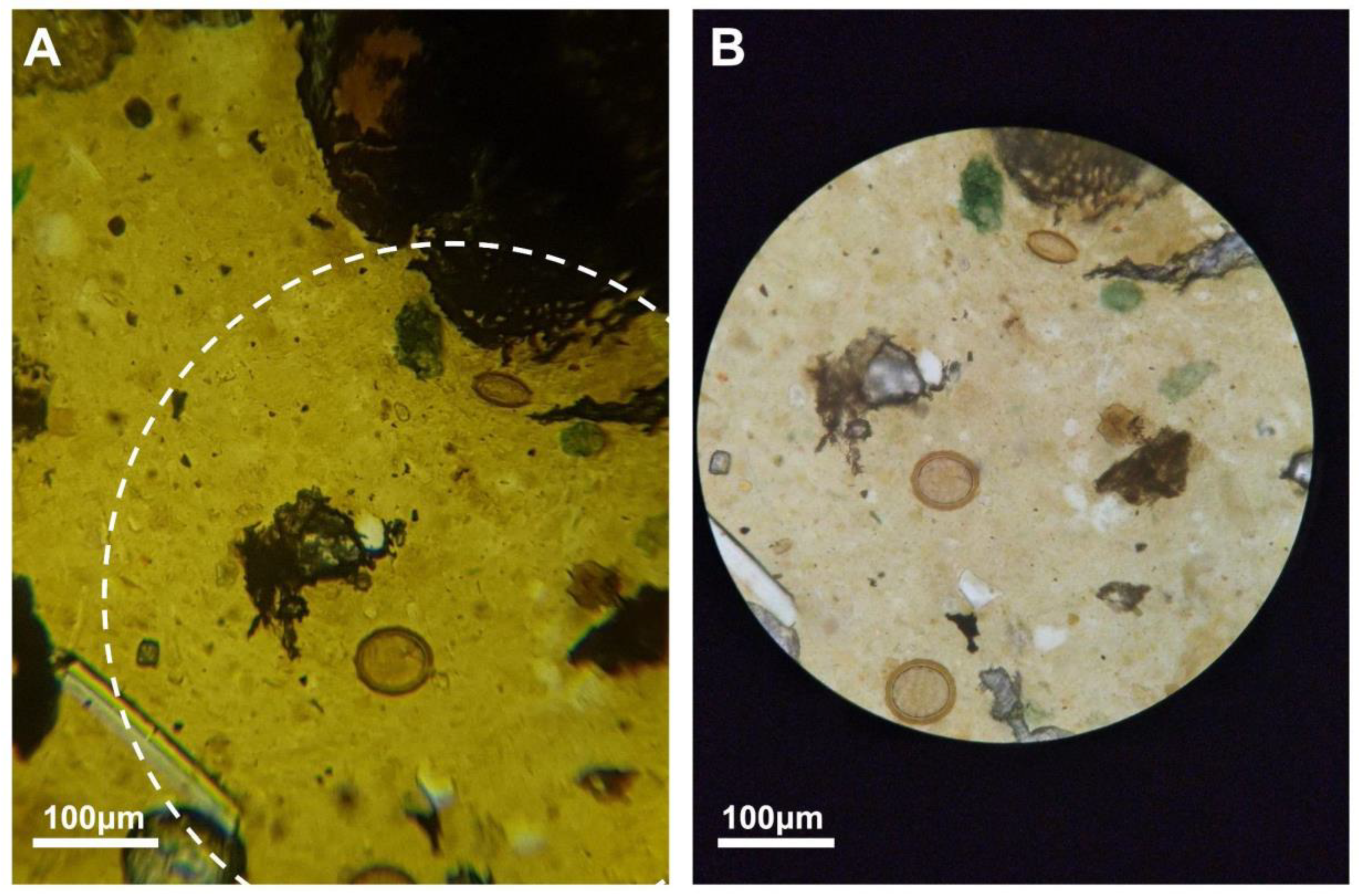 Electronics 10 02408 g005