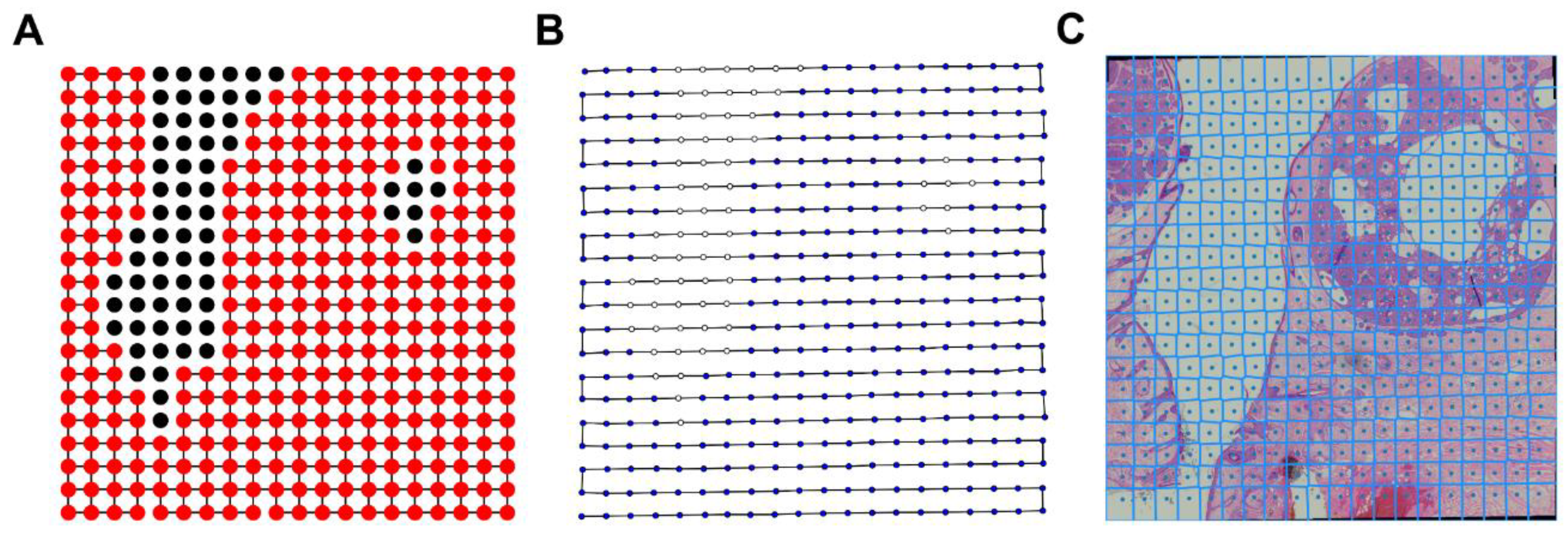Electronics 10 02408 g006