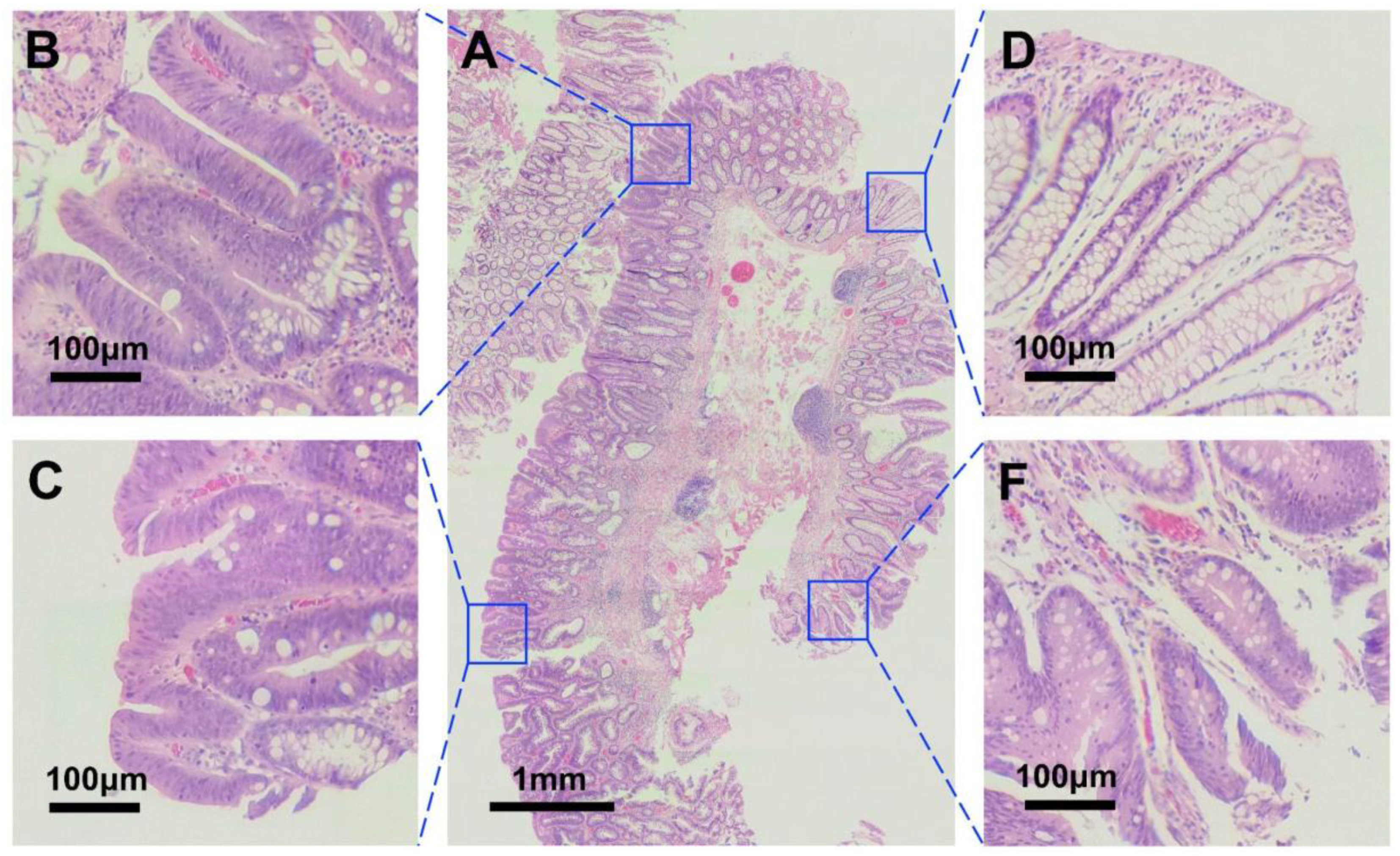 Electronics 10 02408 g007