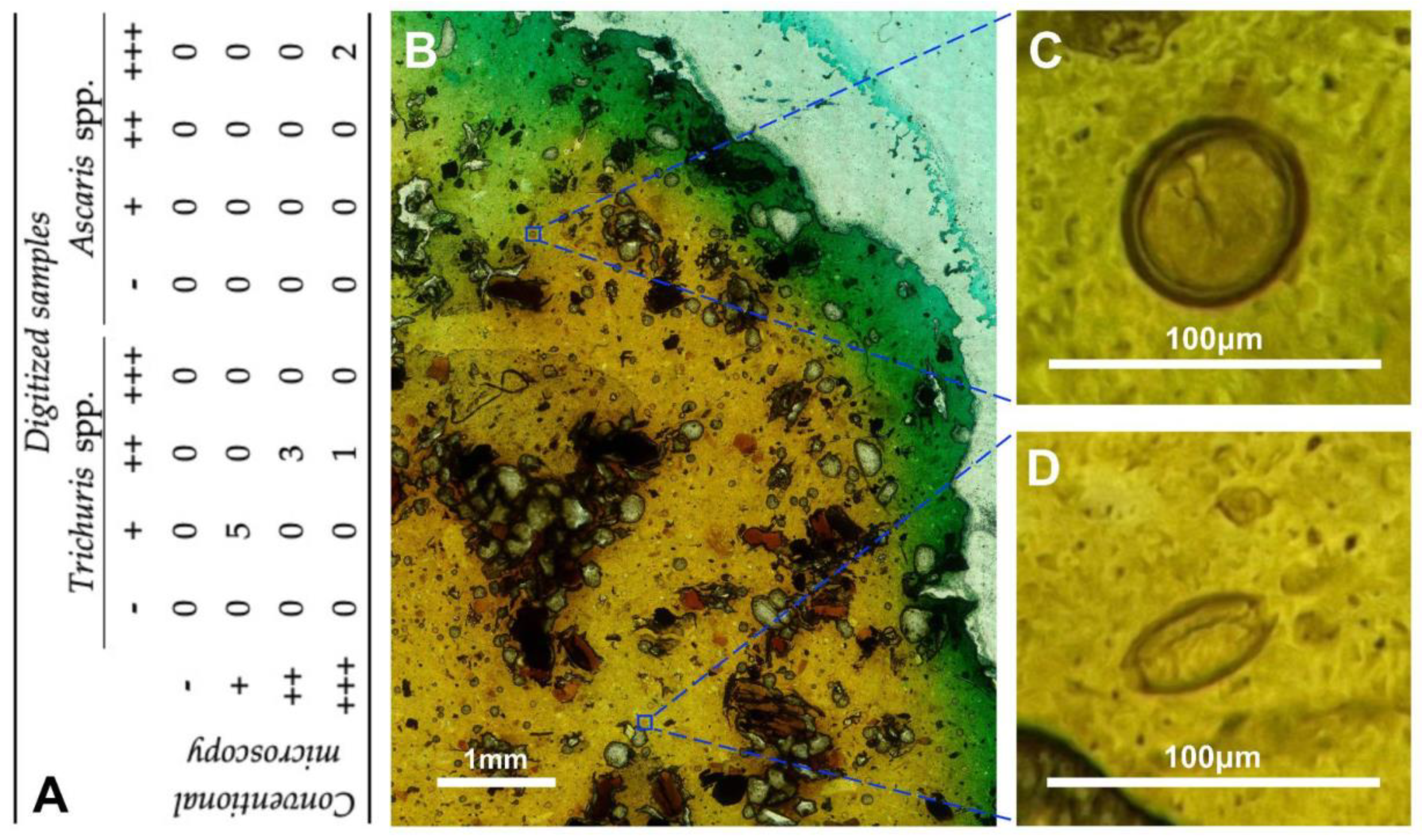 Electronics 10 02408 g008