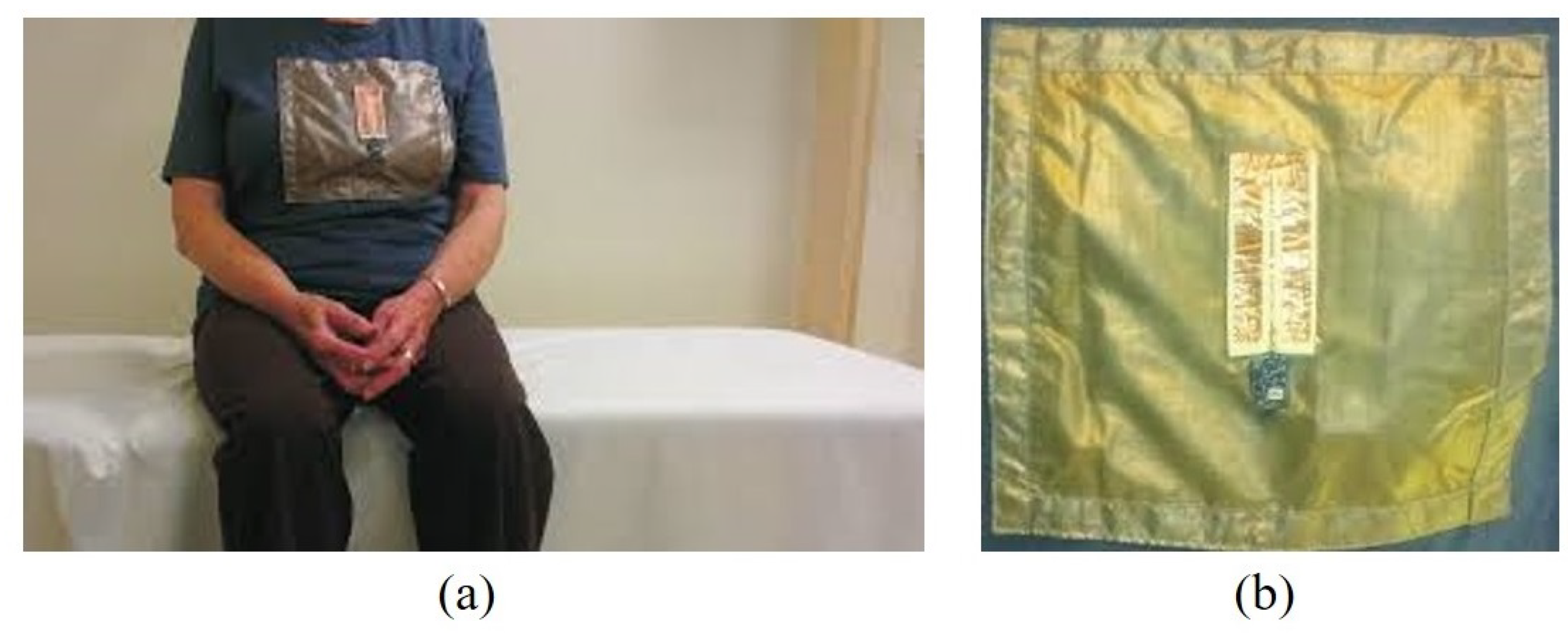 Electronics 10 02438 g001