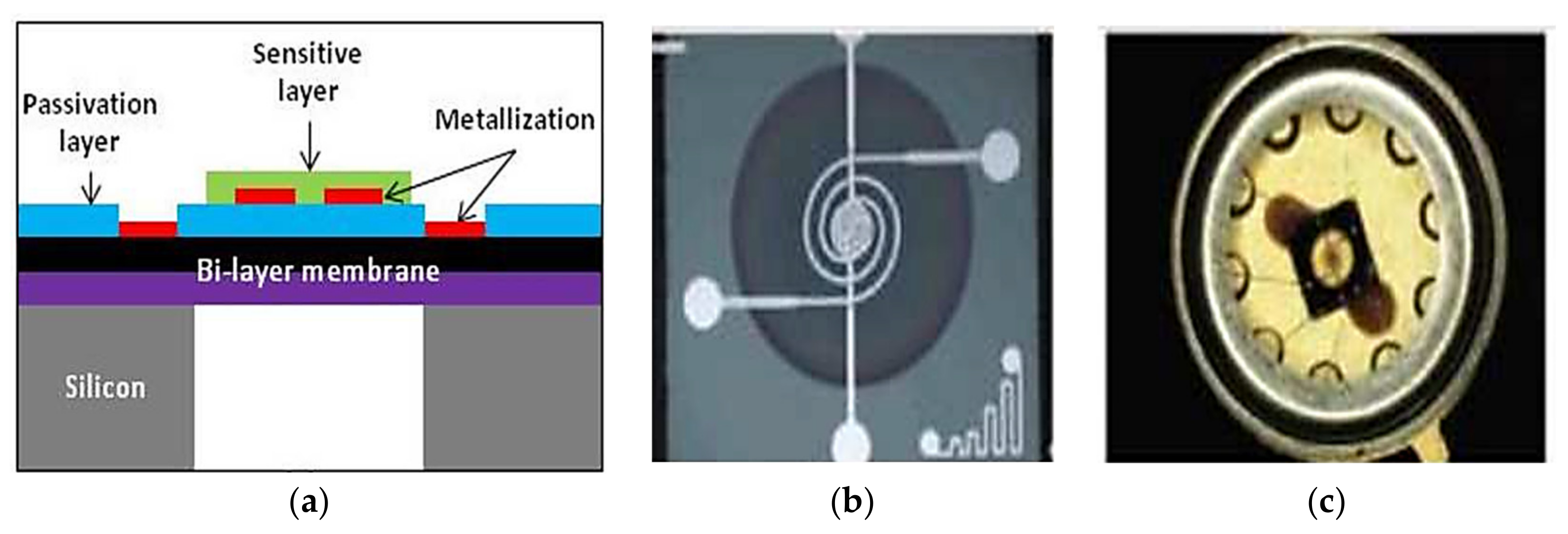 Electronics 10 02578 g002
