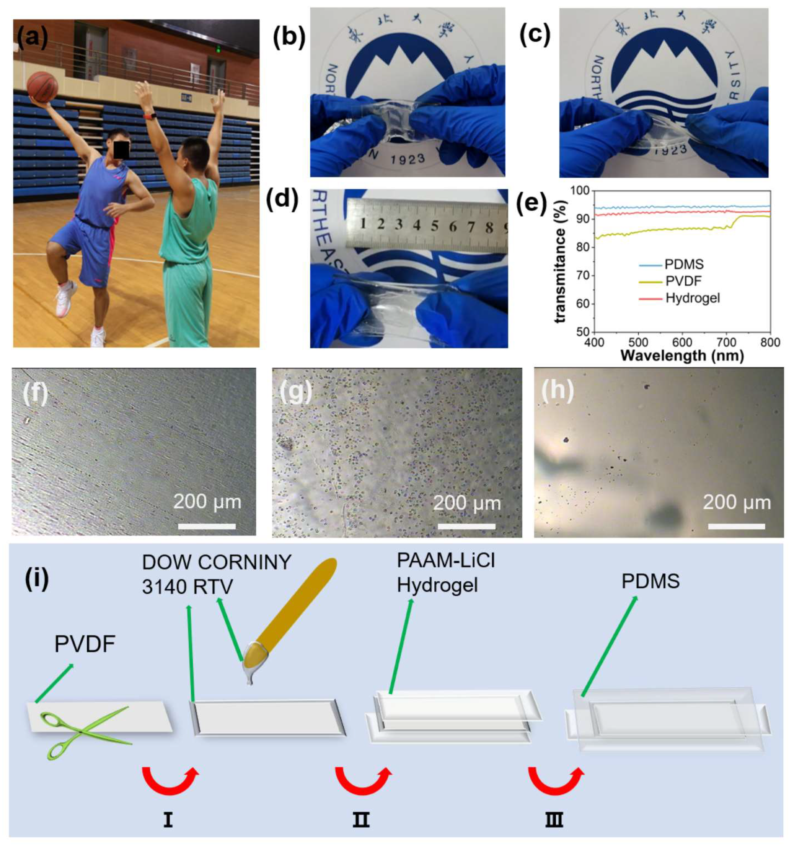 Electronics 10 02584 g001
