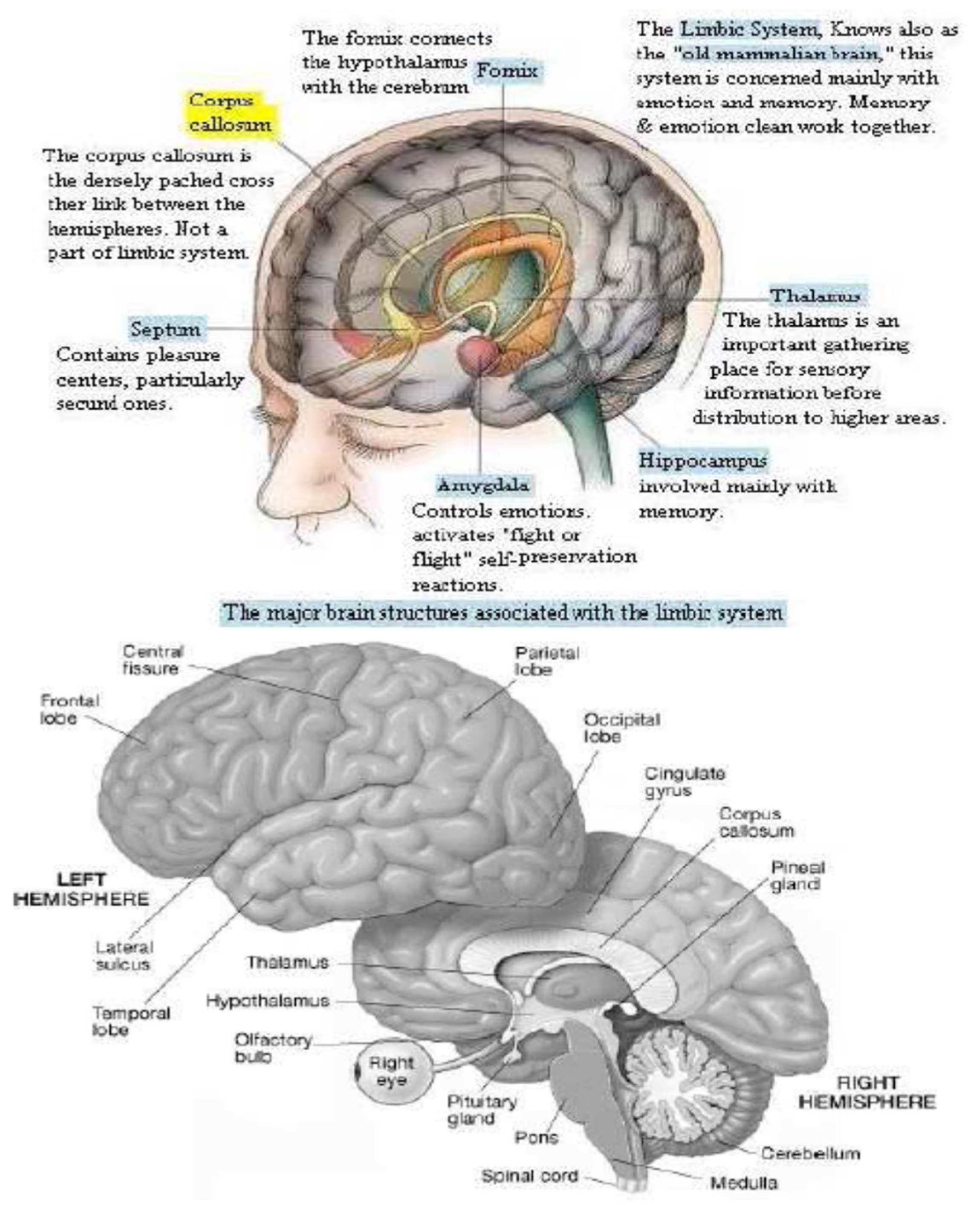 Electronics 10 02595 g004