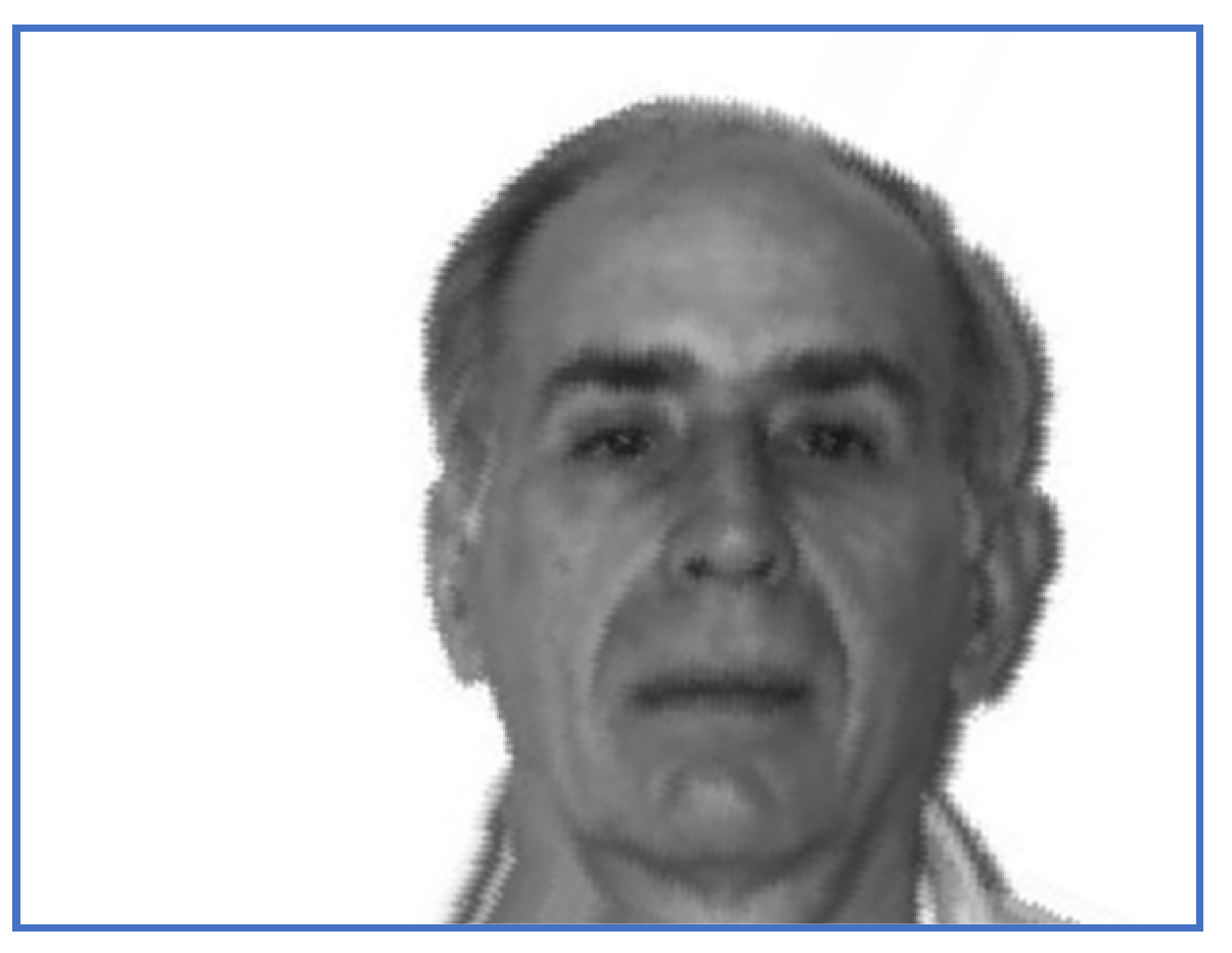 Electronics 10 02606 g007