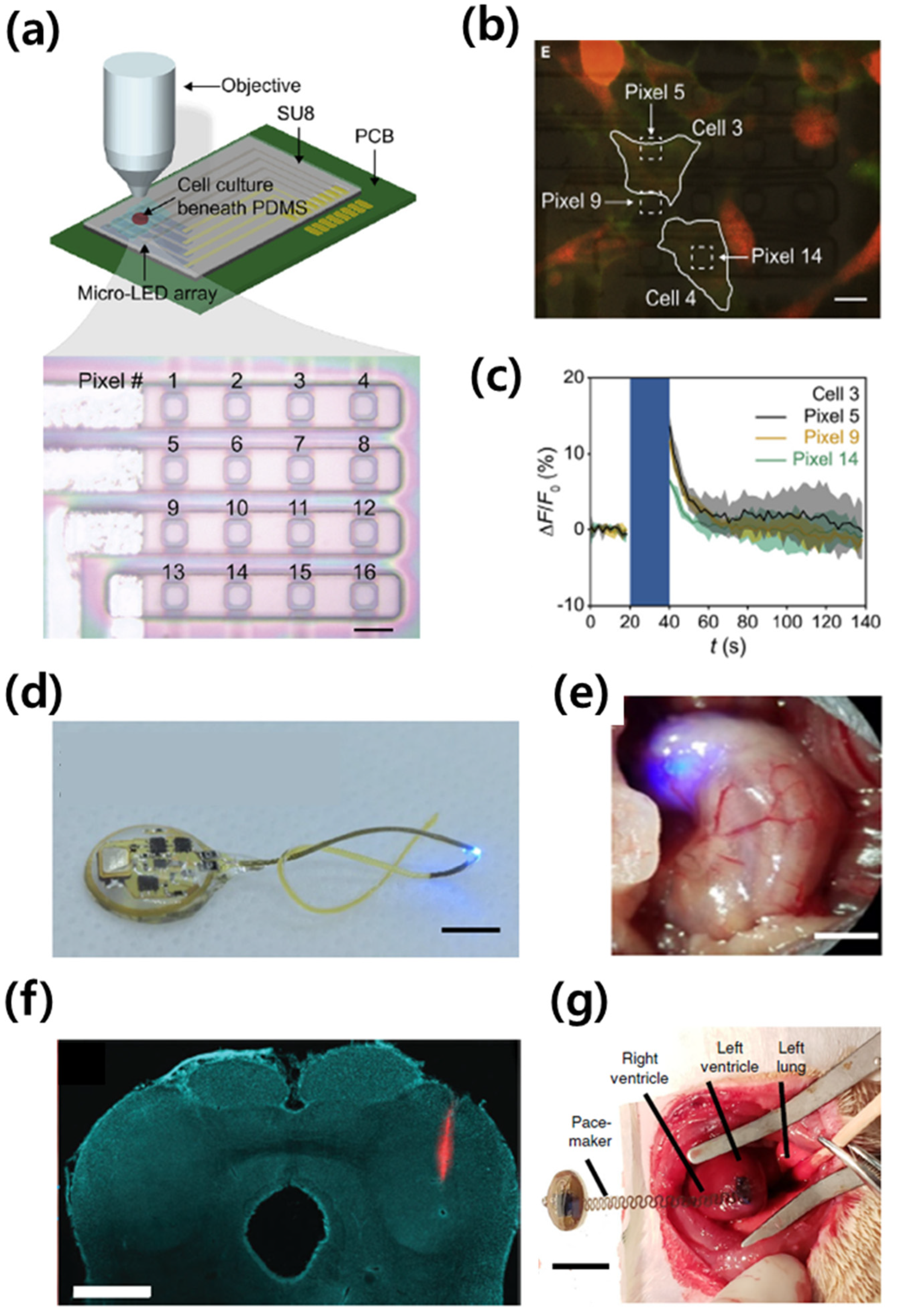 Electronics 10 02644 g007