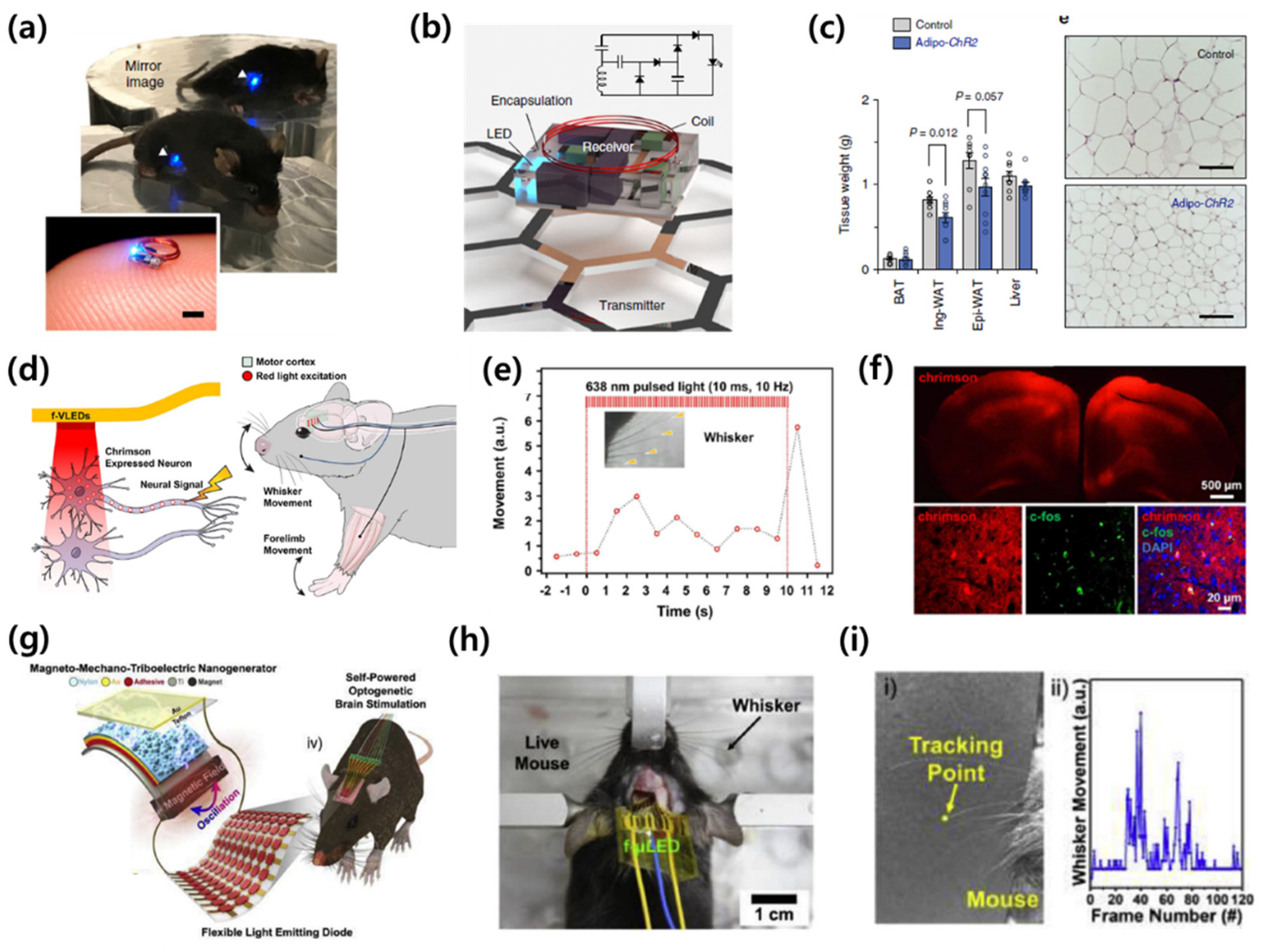 Electronics 10 02644 g008
