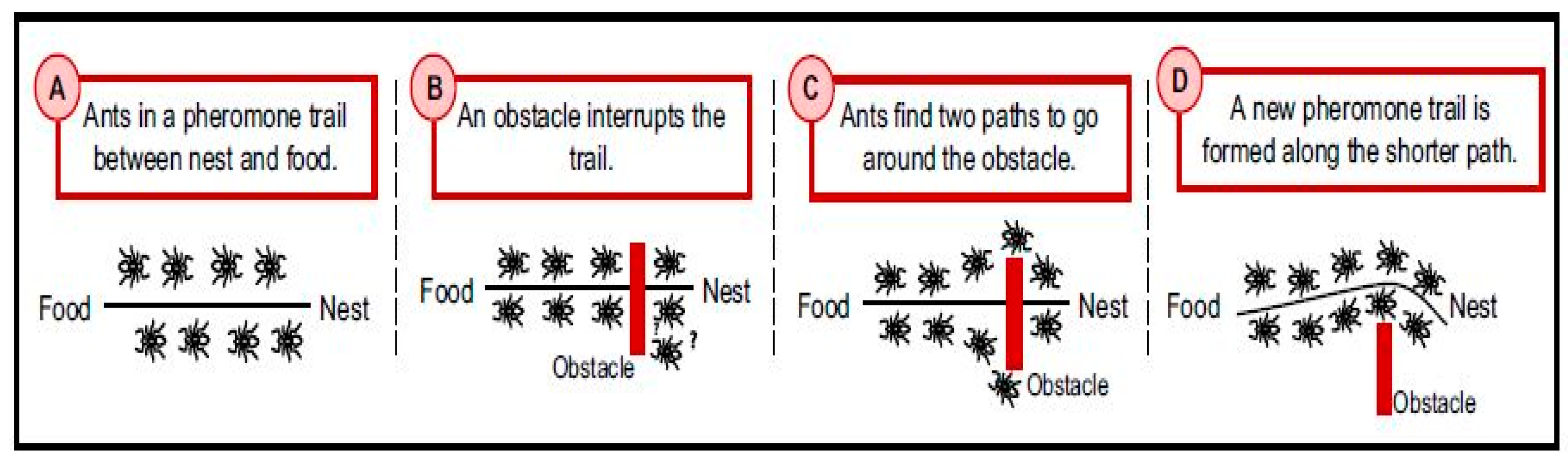 Electronics 10 02718 g007