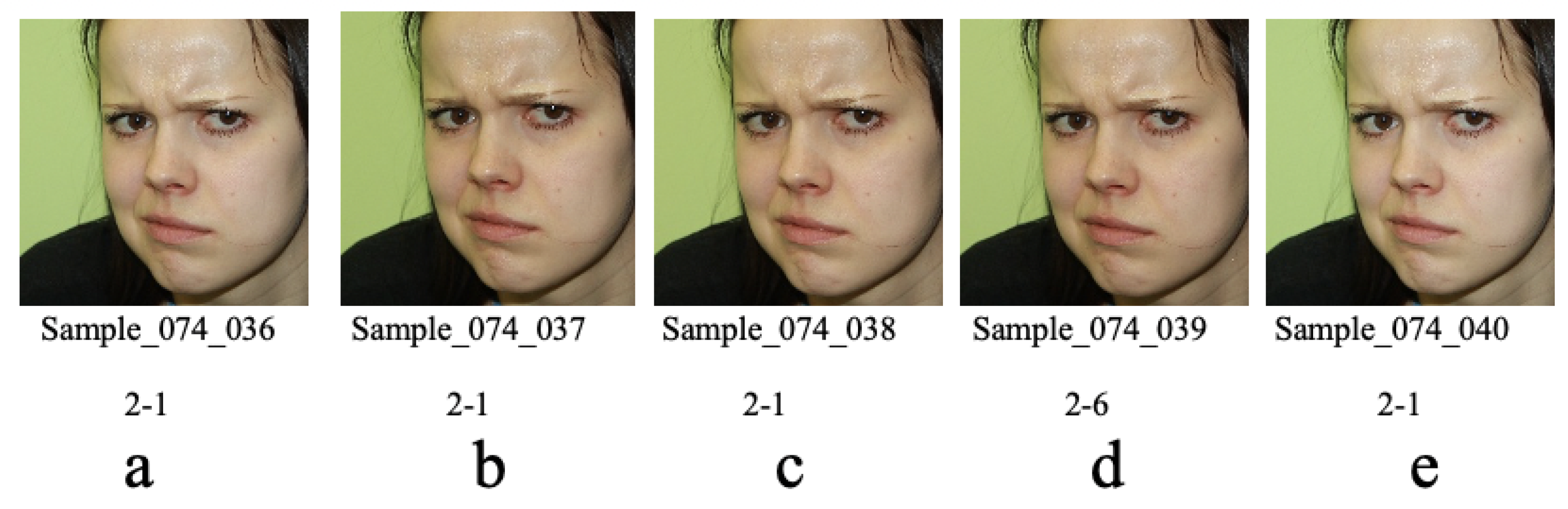 Electronics 10 02847 g007