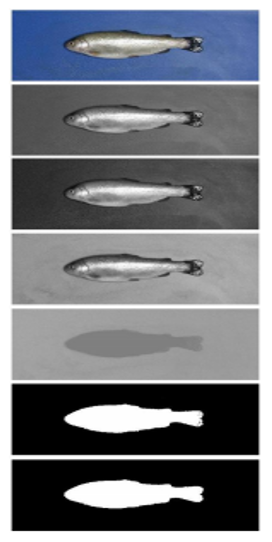 Electronics 10 02882 g014