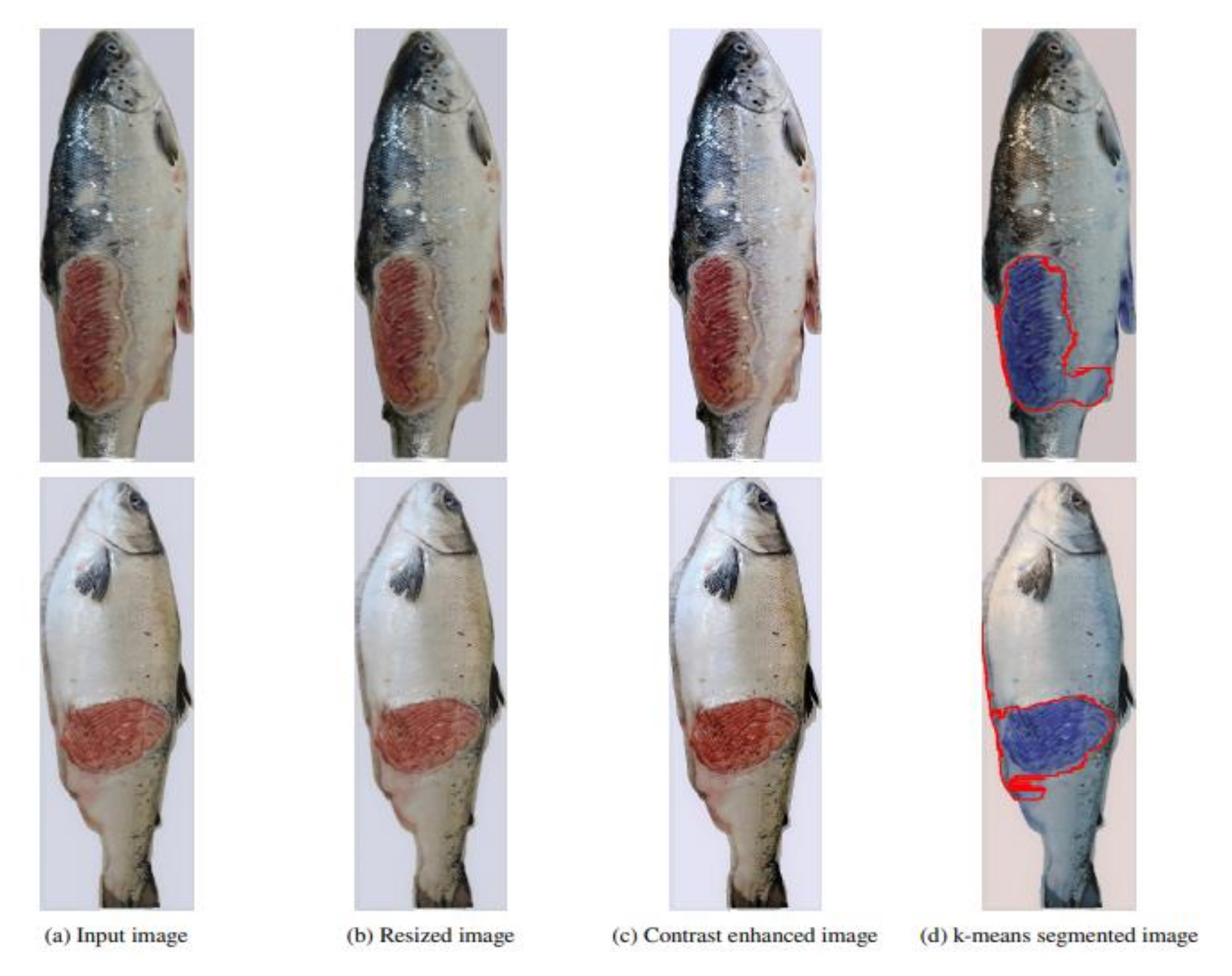 Electronics 10 02882 g024