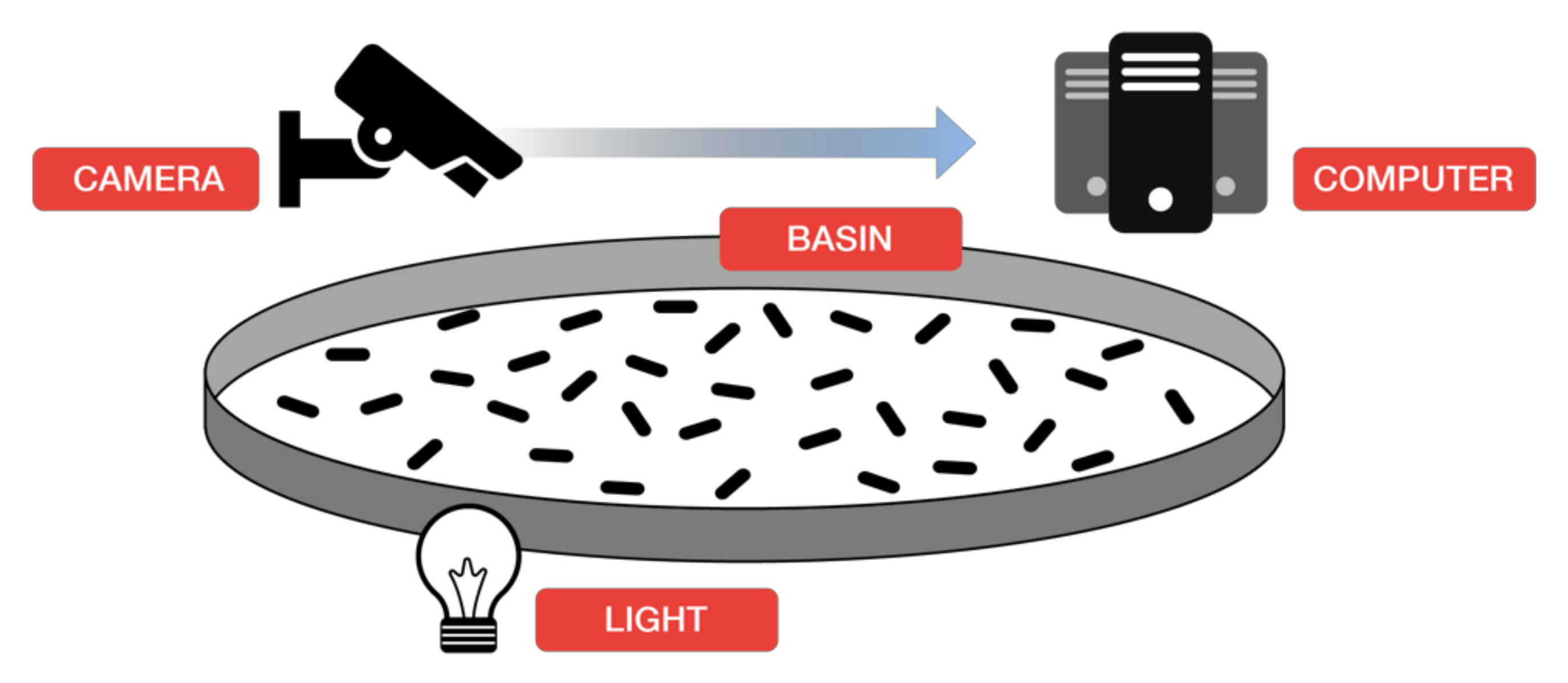 Electronics 10 02882 g026