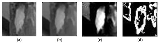 Electronics 10 02907 g004 550