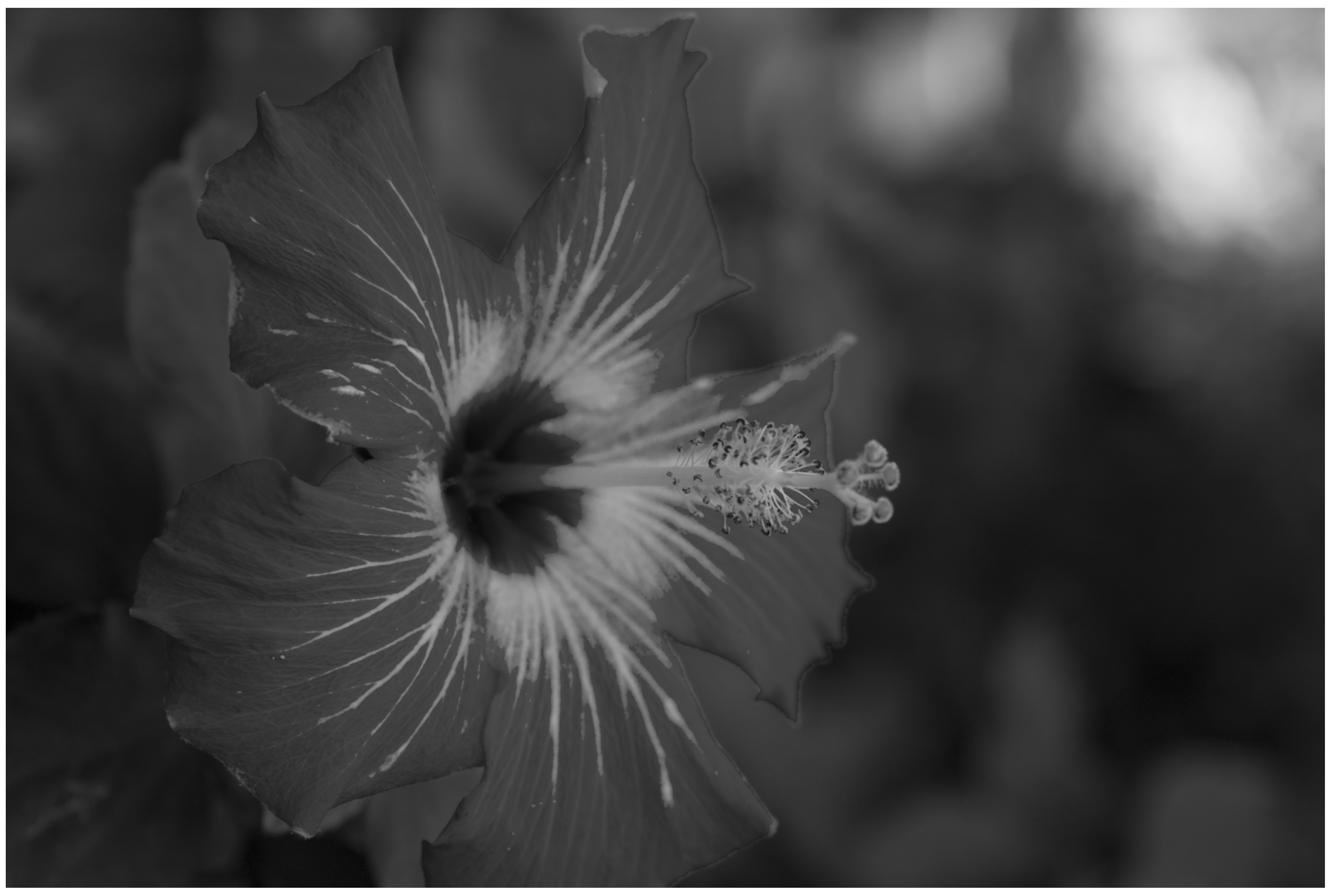 Electronics 10 02934 g0a1