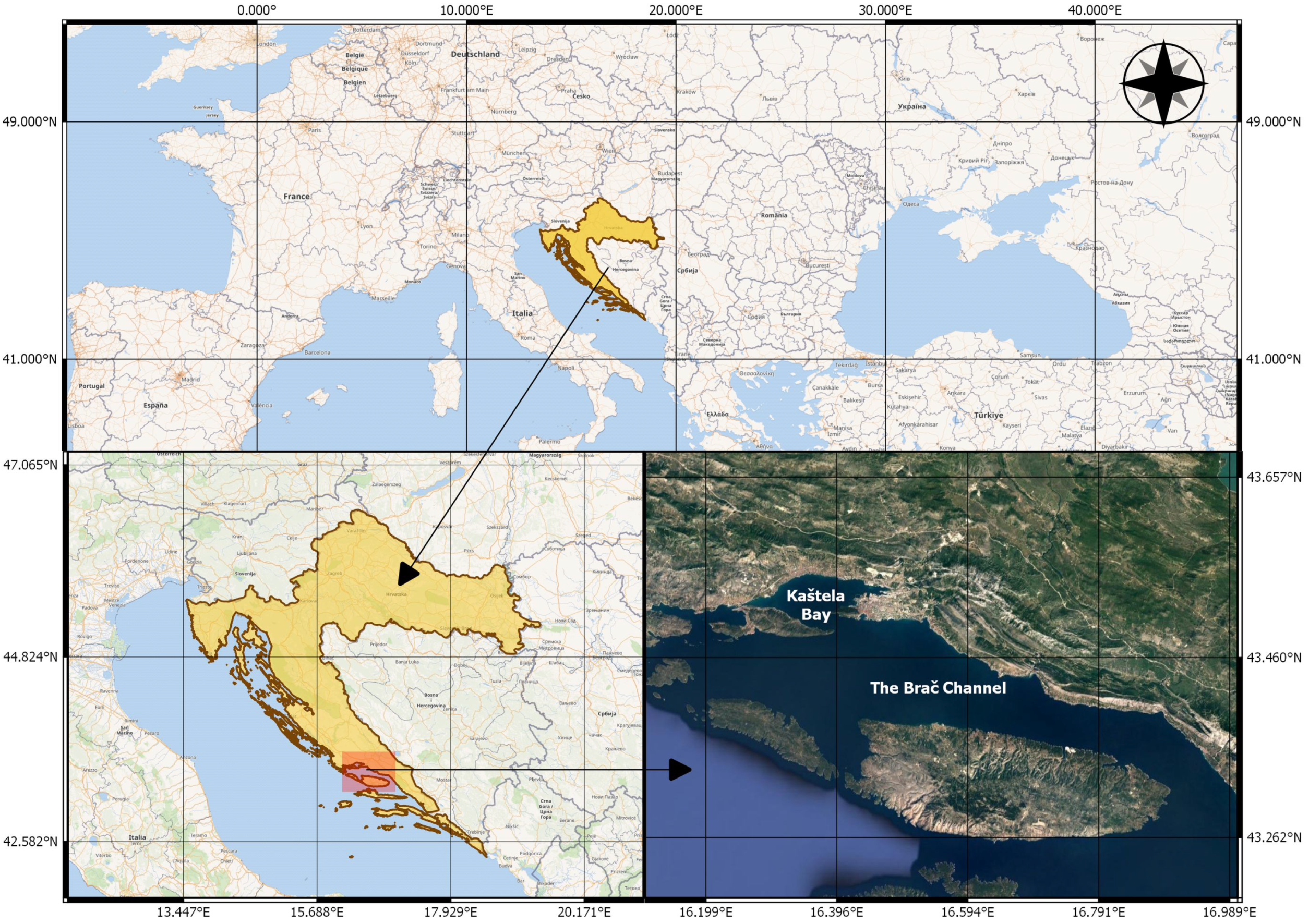 Electronics 10 03004 g001