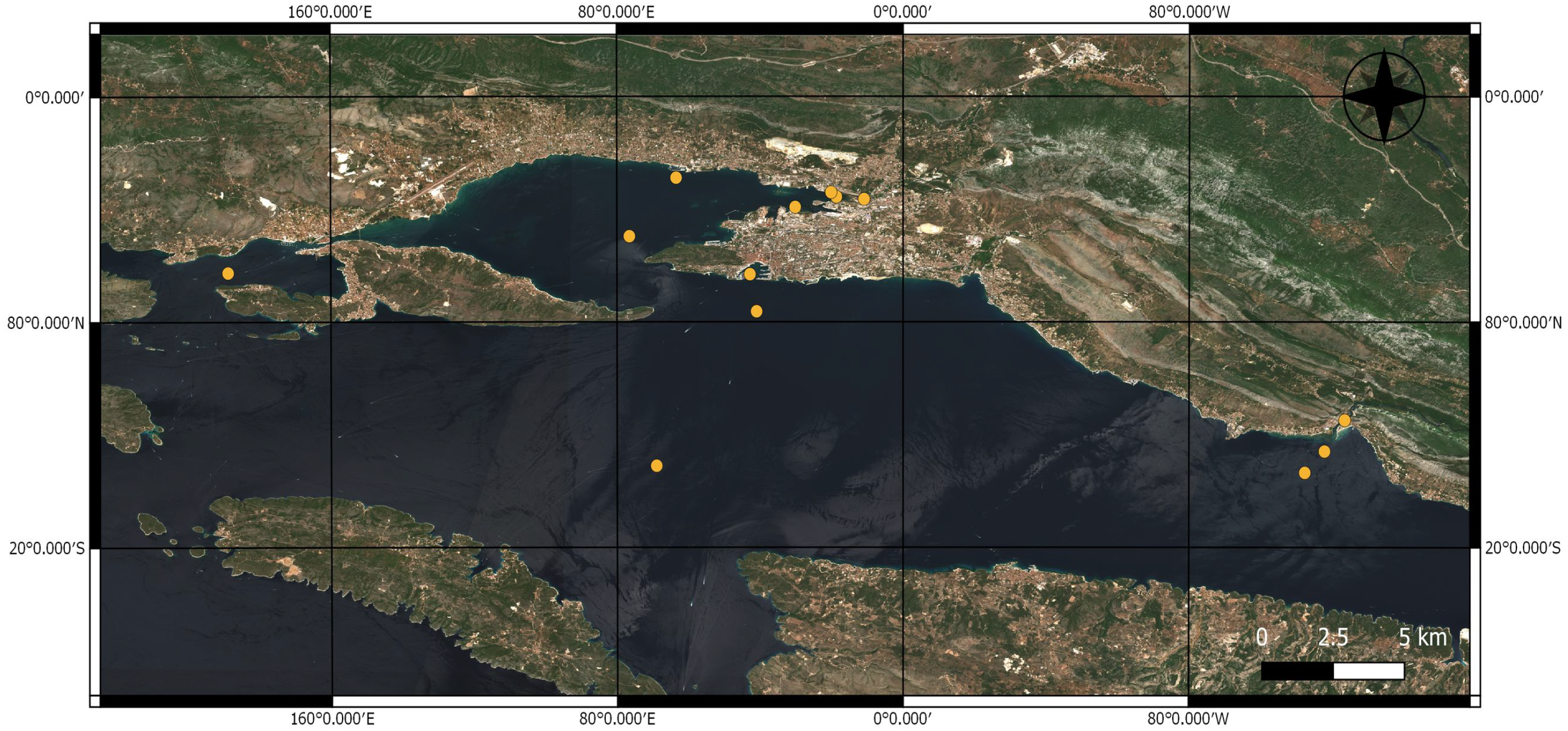 Electronics 10 03004 g002