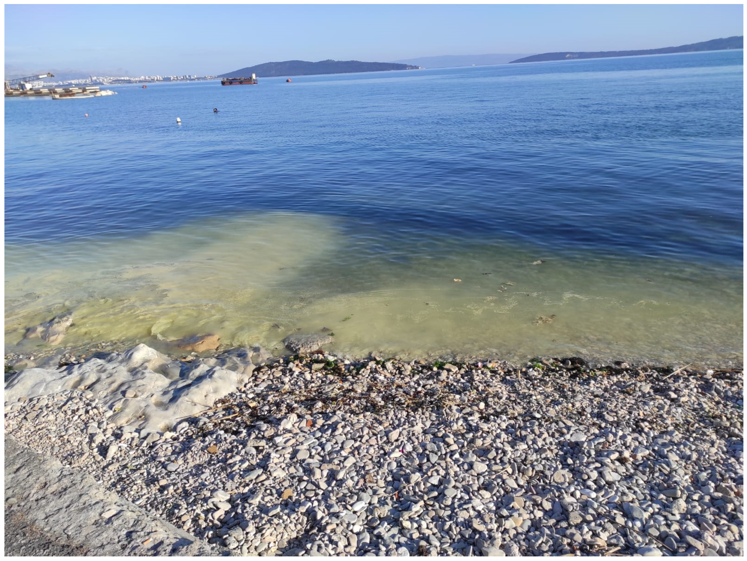 Electronics 10 03004 g008