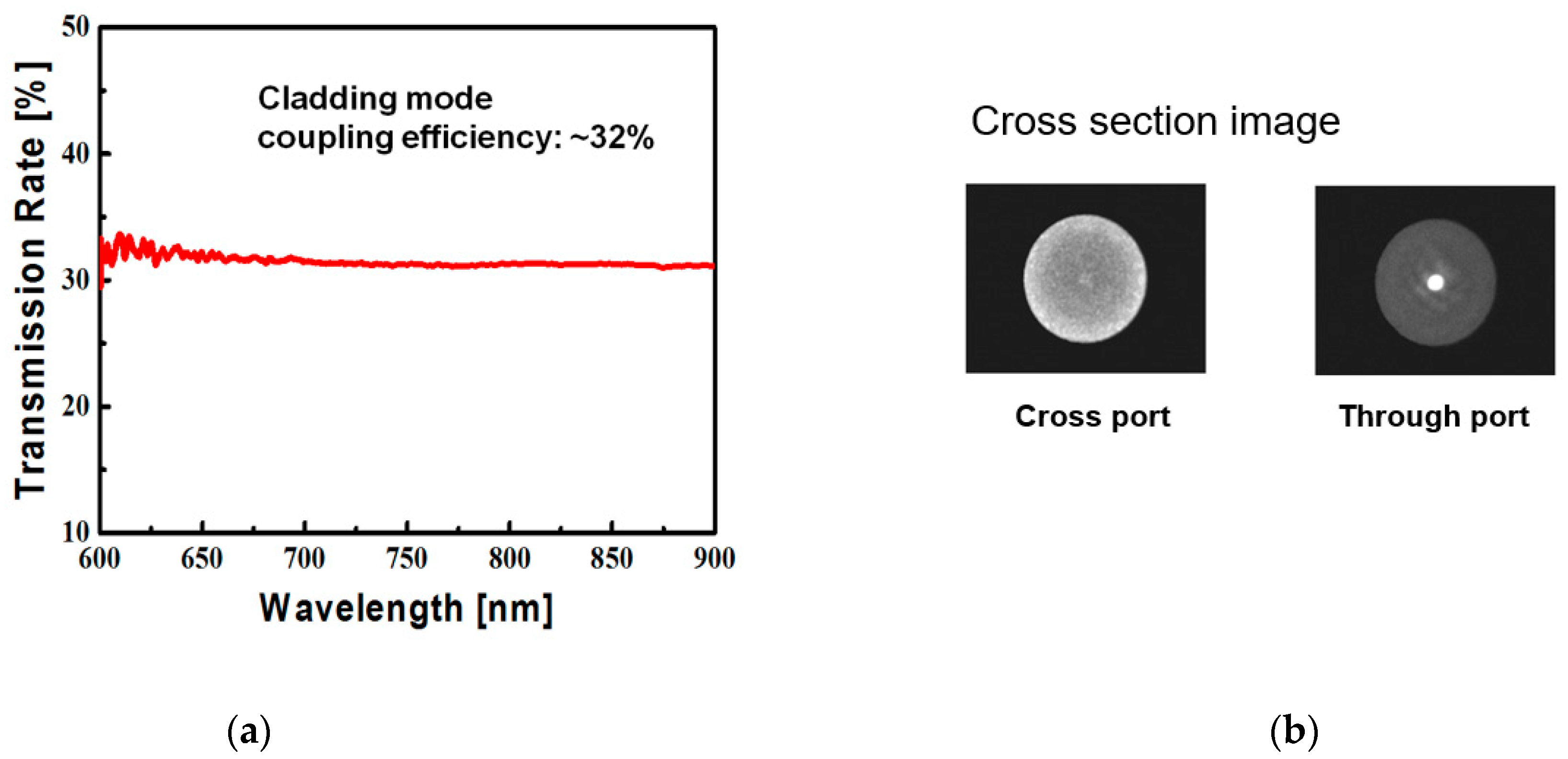 Electronics 10 03008 g004