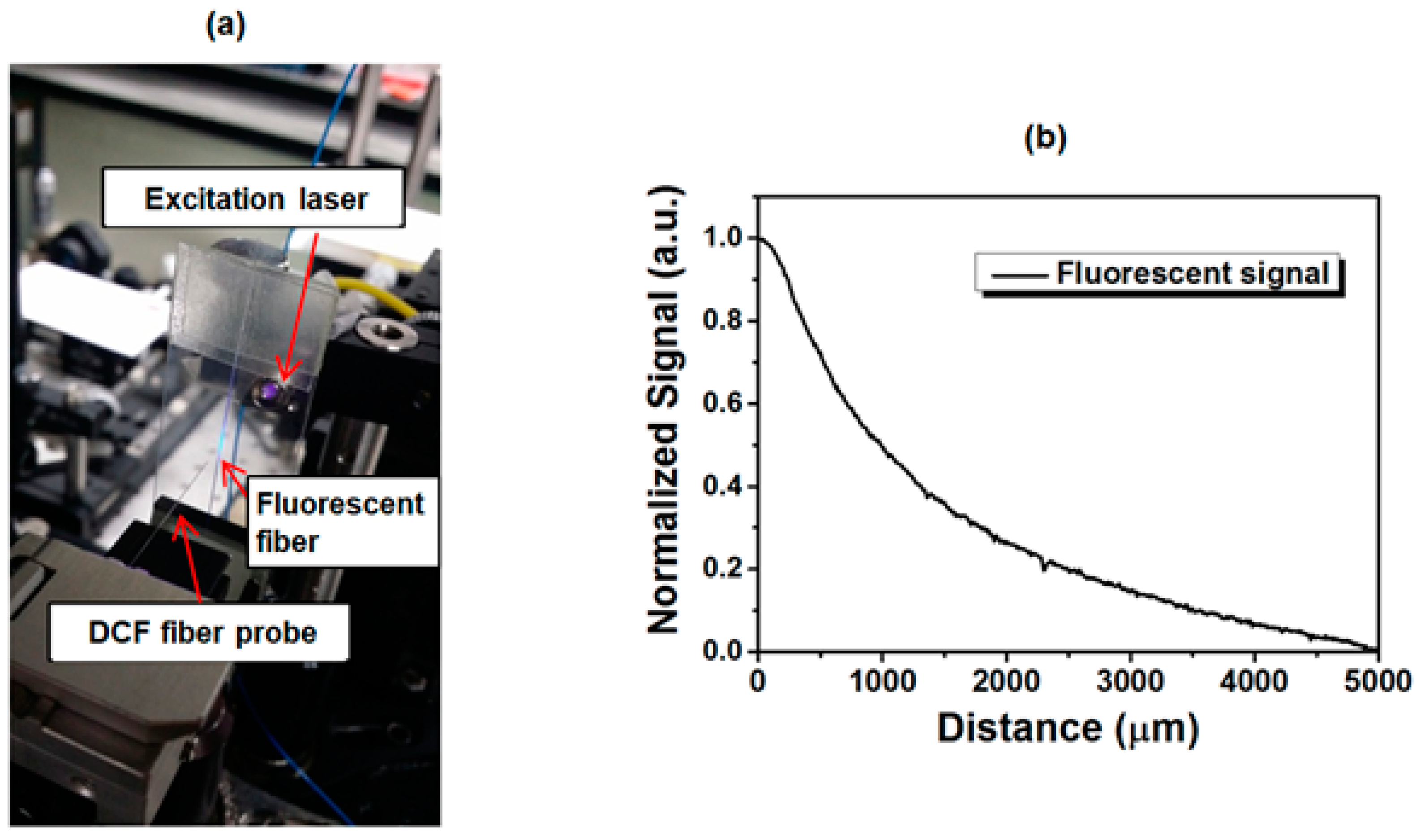 Electronics 10 03008 g007
