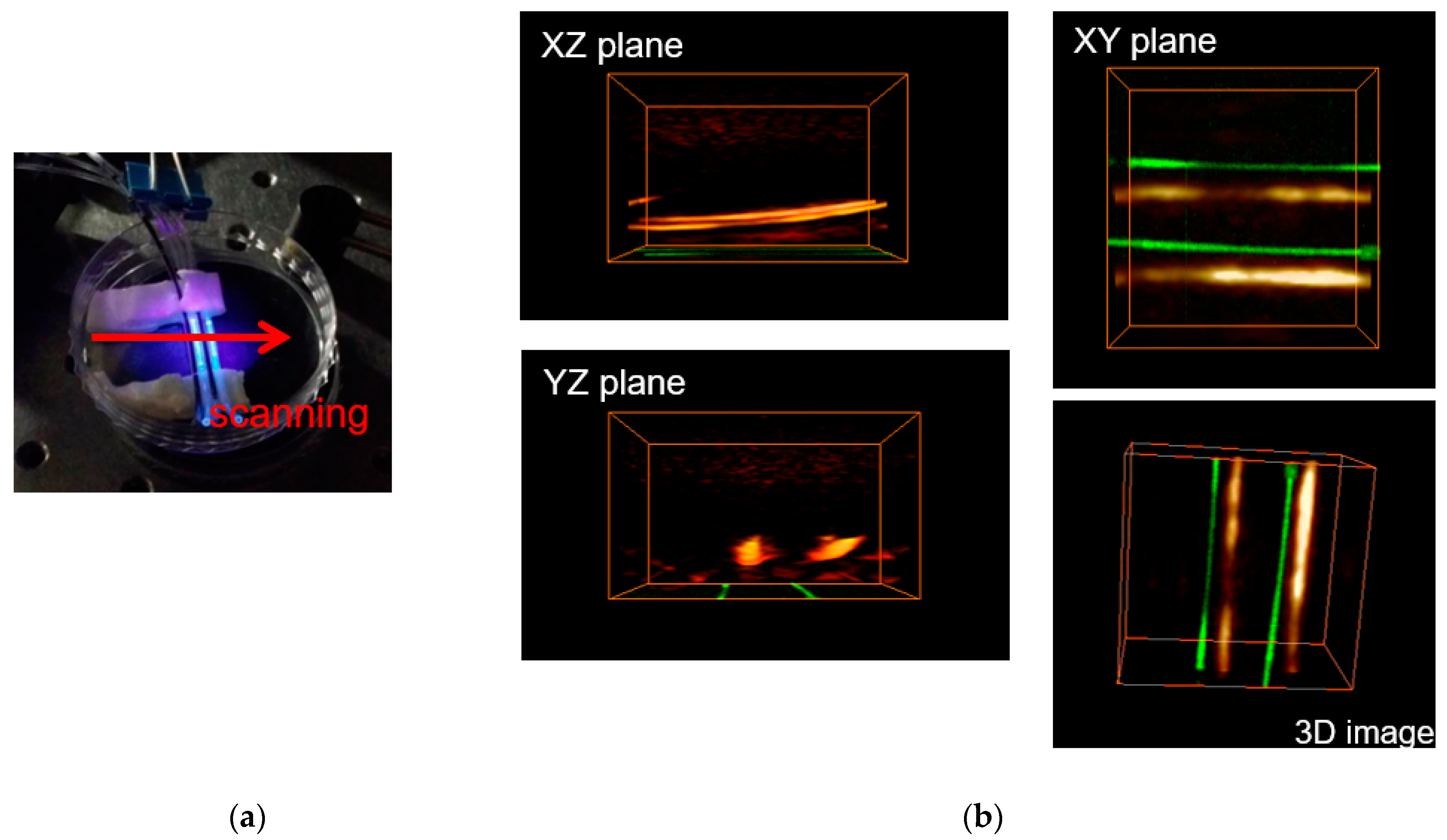 Electronics 10 03008 g010