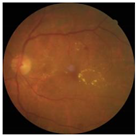 Electronics 11 00023 i005