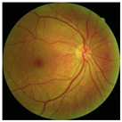 Electronics 11 00023 i007