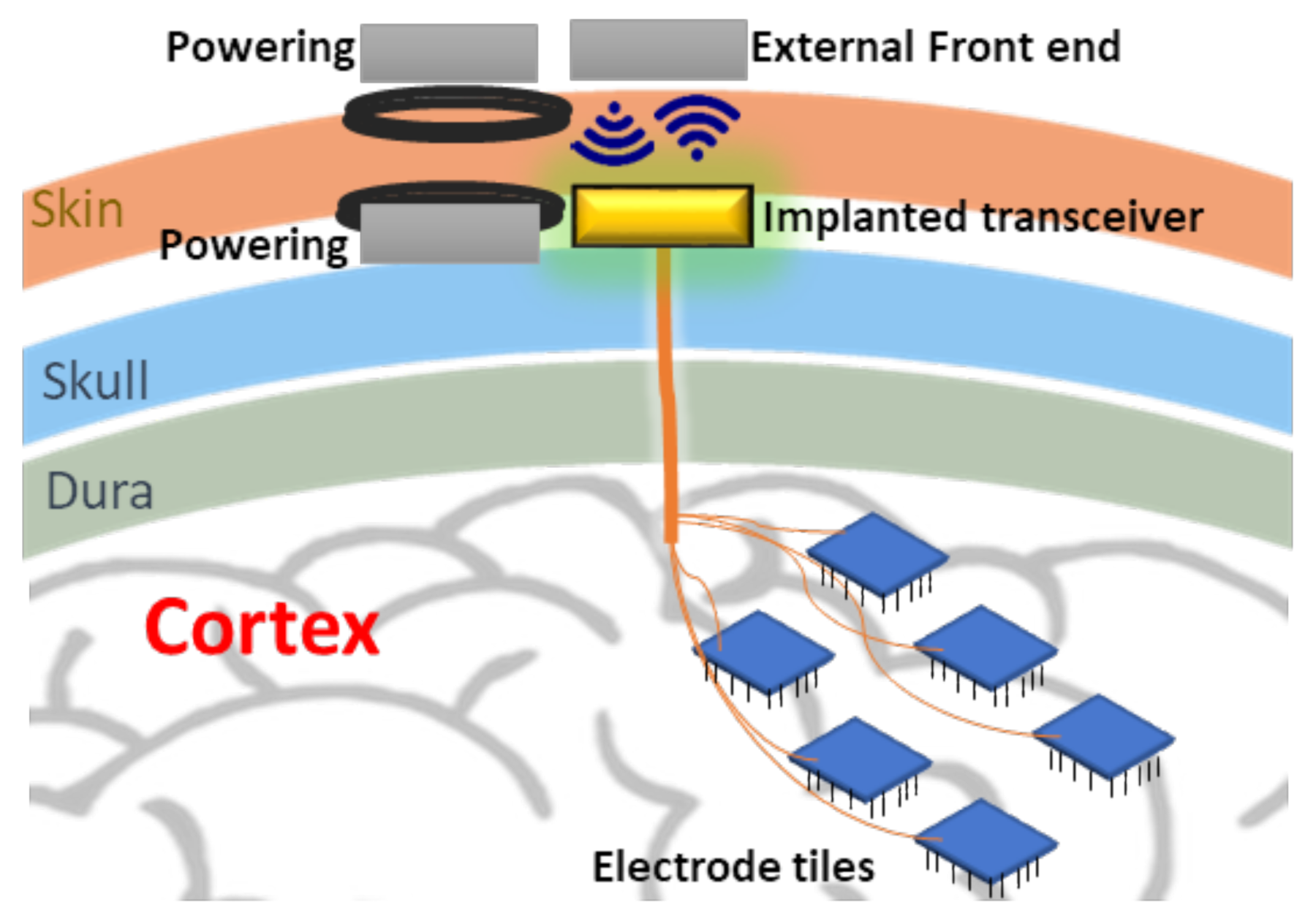 Electronics 11 00024 g001