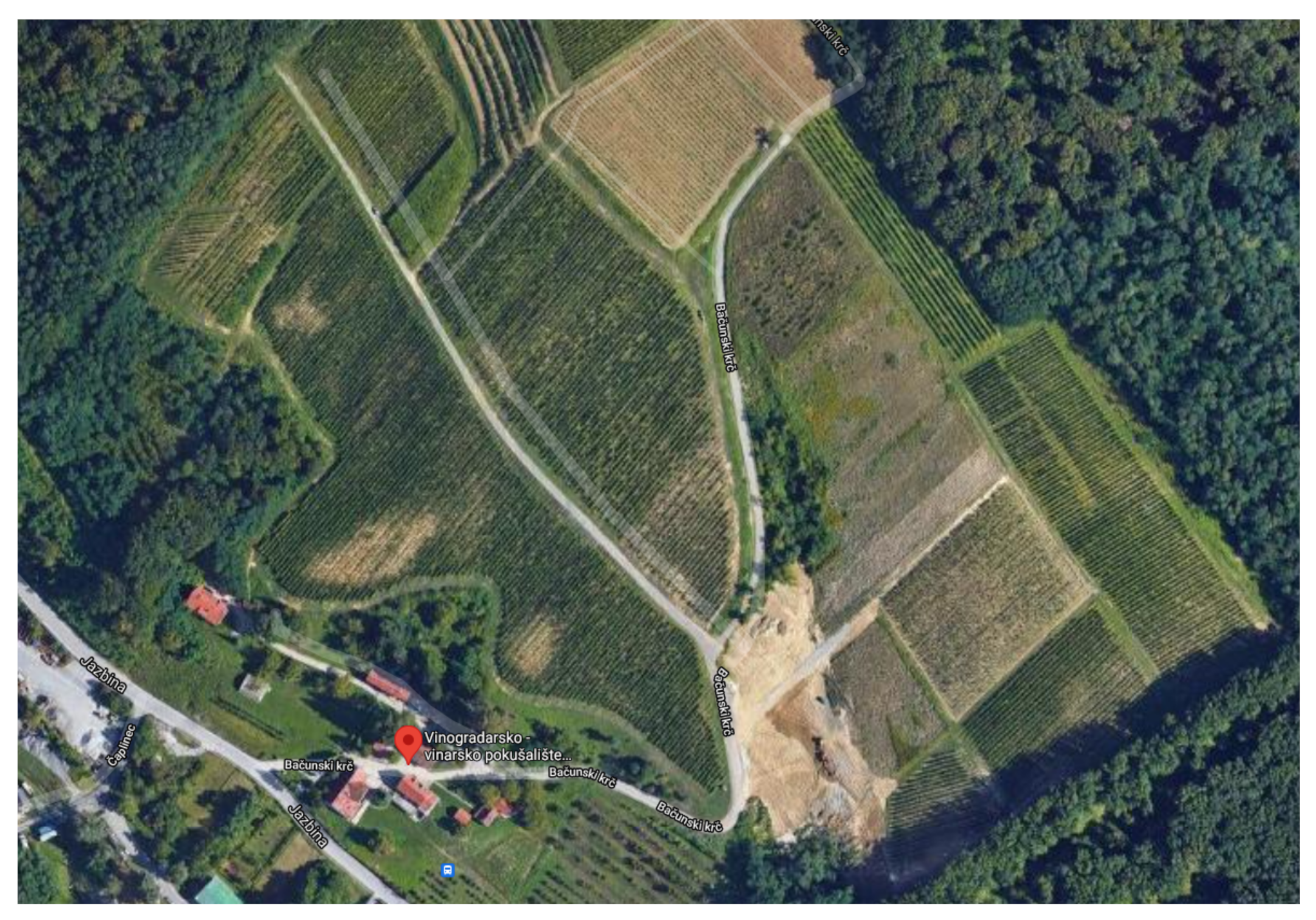 Electronics 11 00217 g003