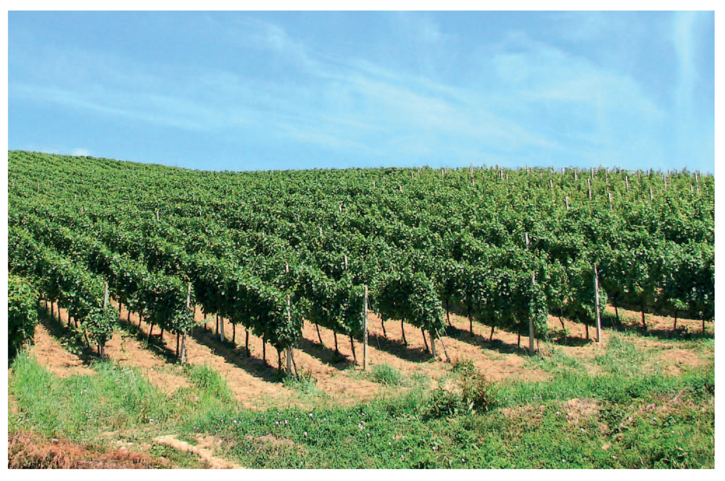 Electronics 11 00217 g004