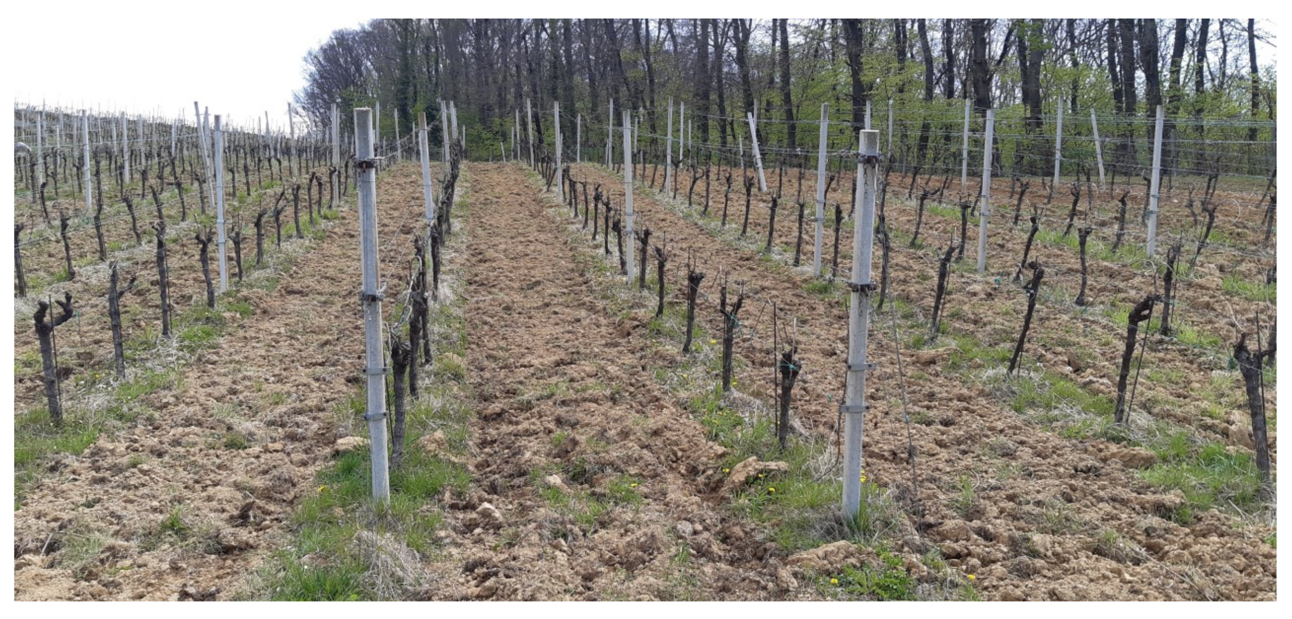 Electronics 11 00217 g005