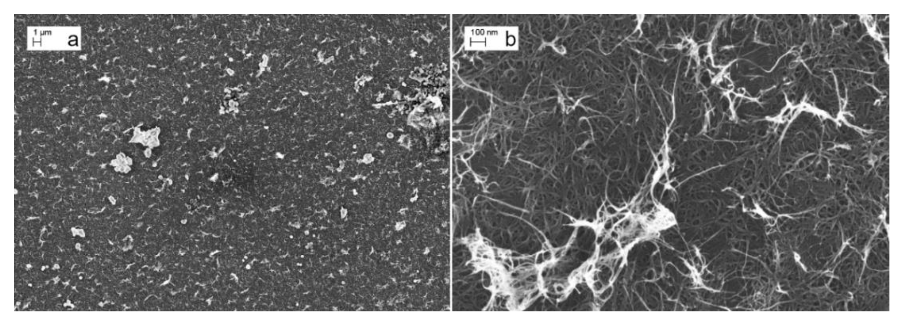 Electronics 11 00271 g003