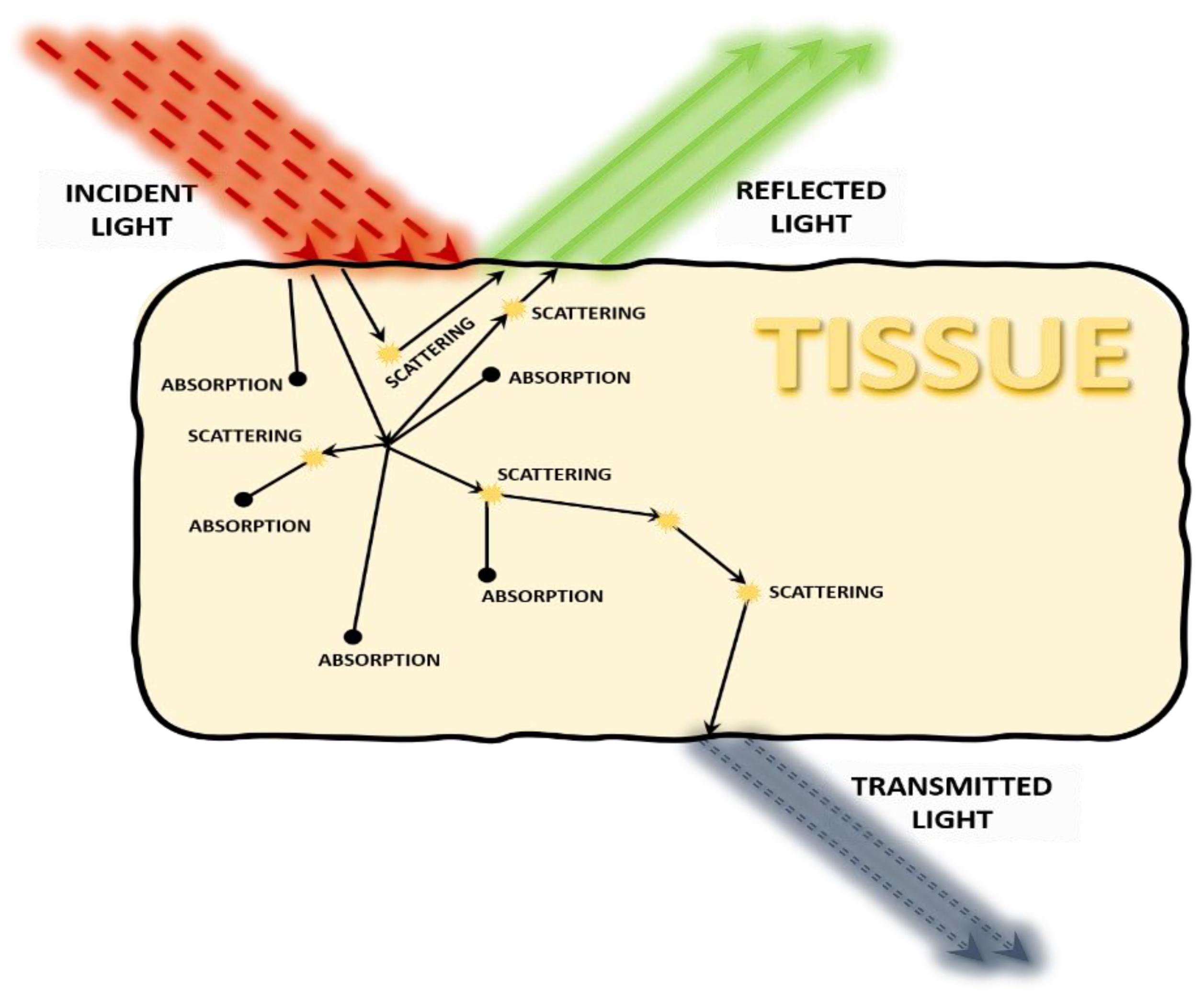 Electronics 11 00305 g001