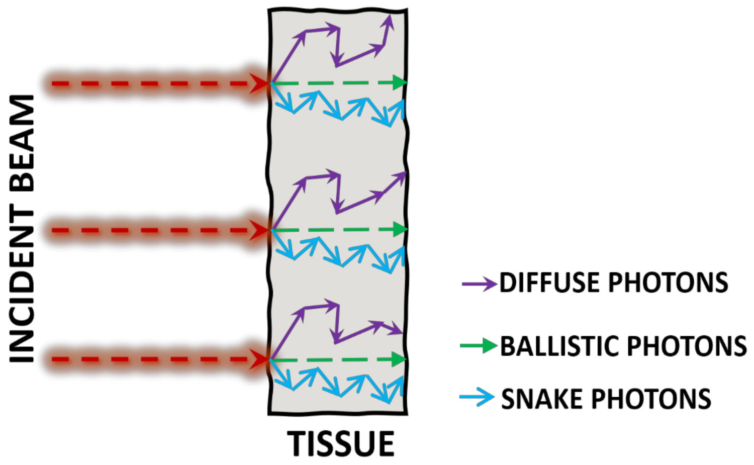 Electronics 11 00305 g002