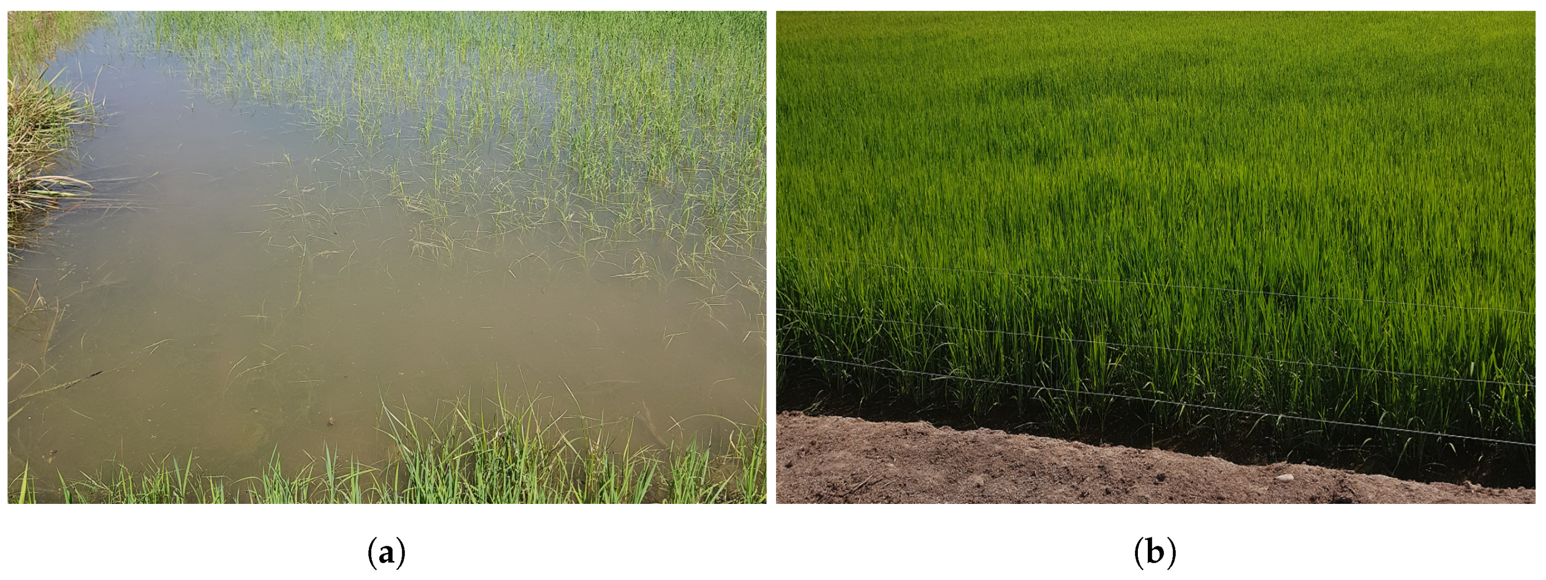 Electronics 11 00325 g002