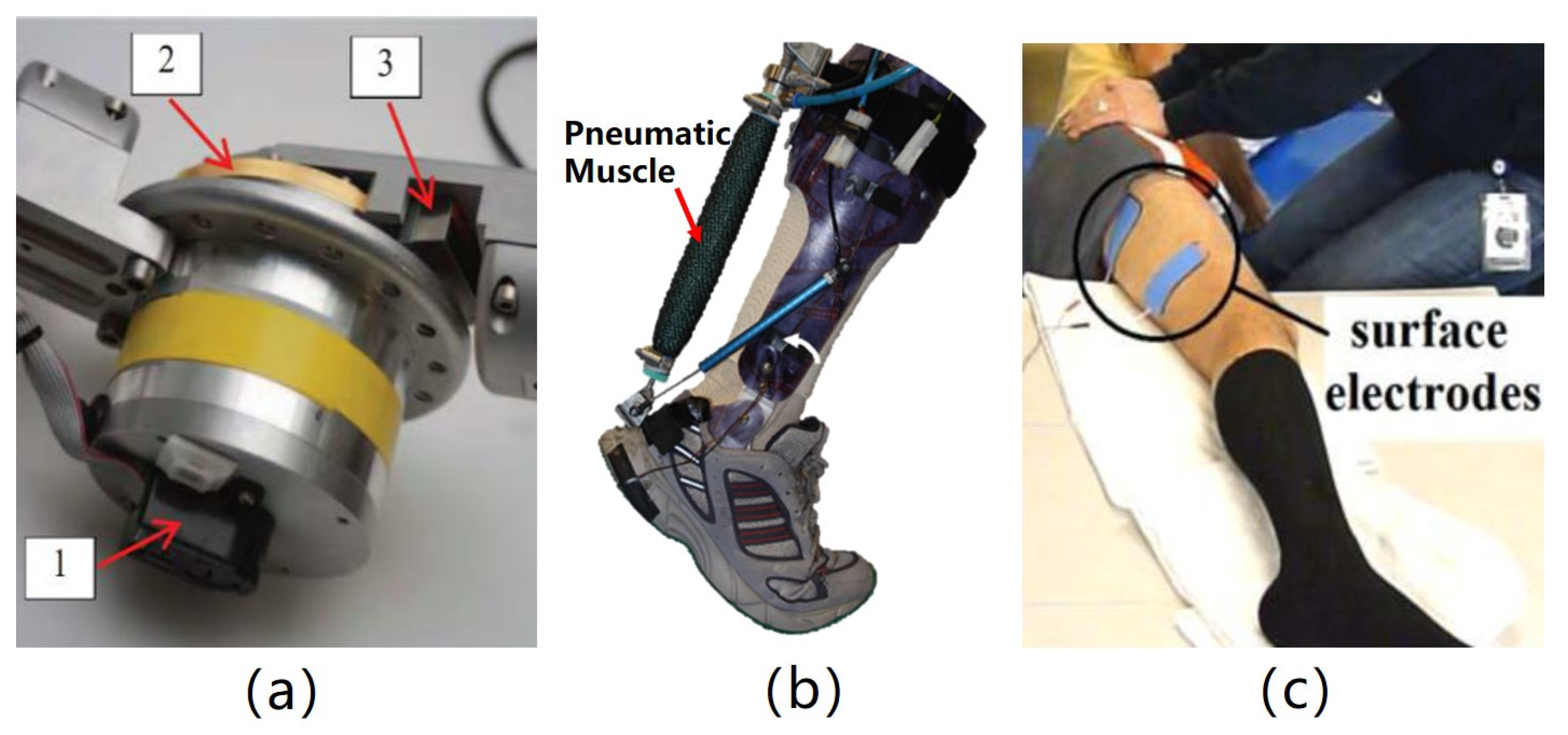Electronics 11 00388 g002