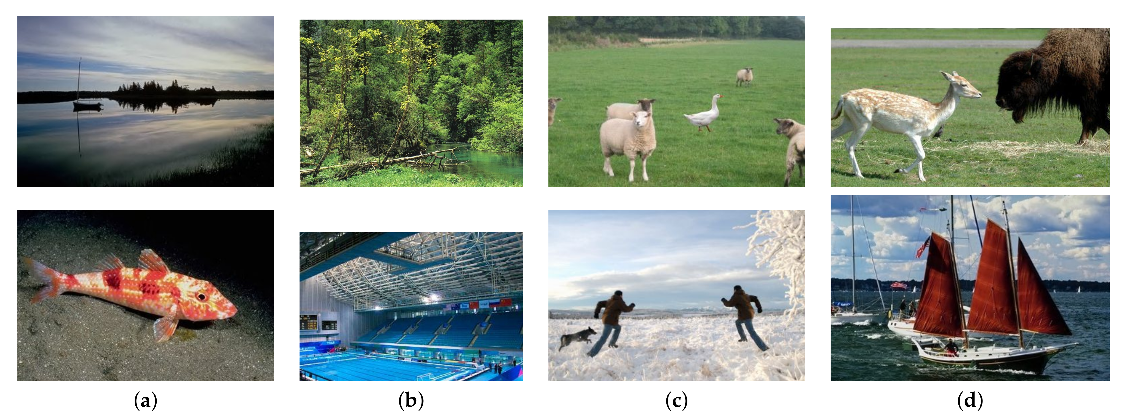 Electronics 11 00403 g009