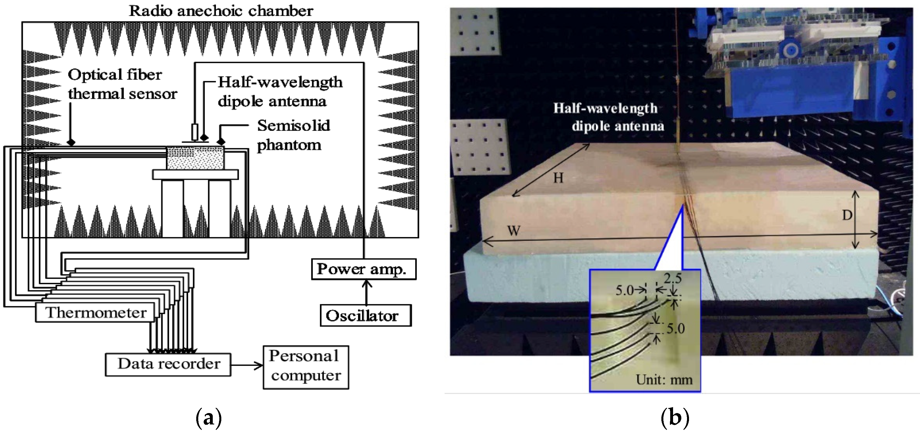 Electronics 11 00511 g011