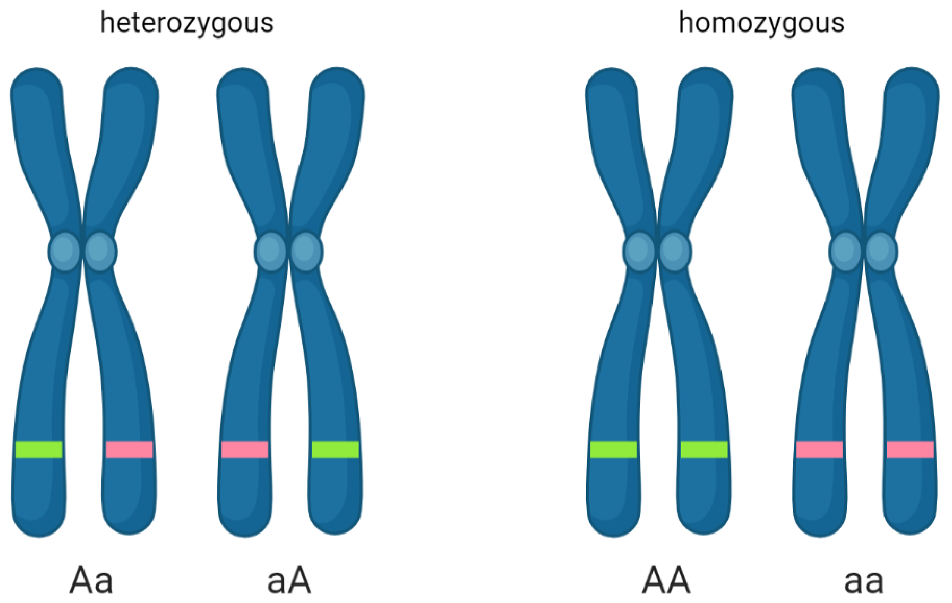 Electronics 11 00548 g002