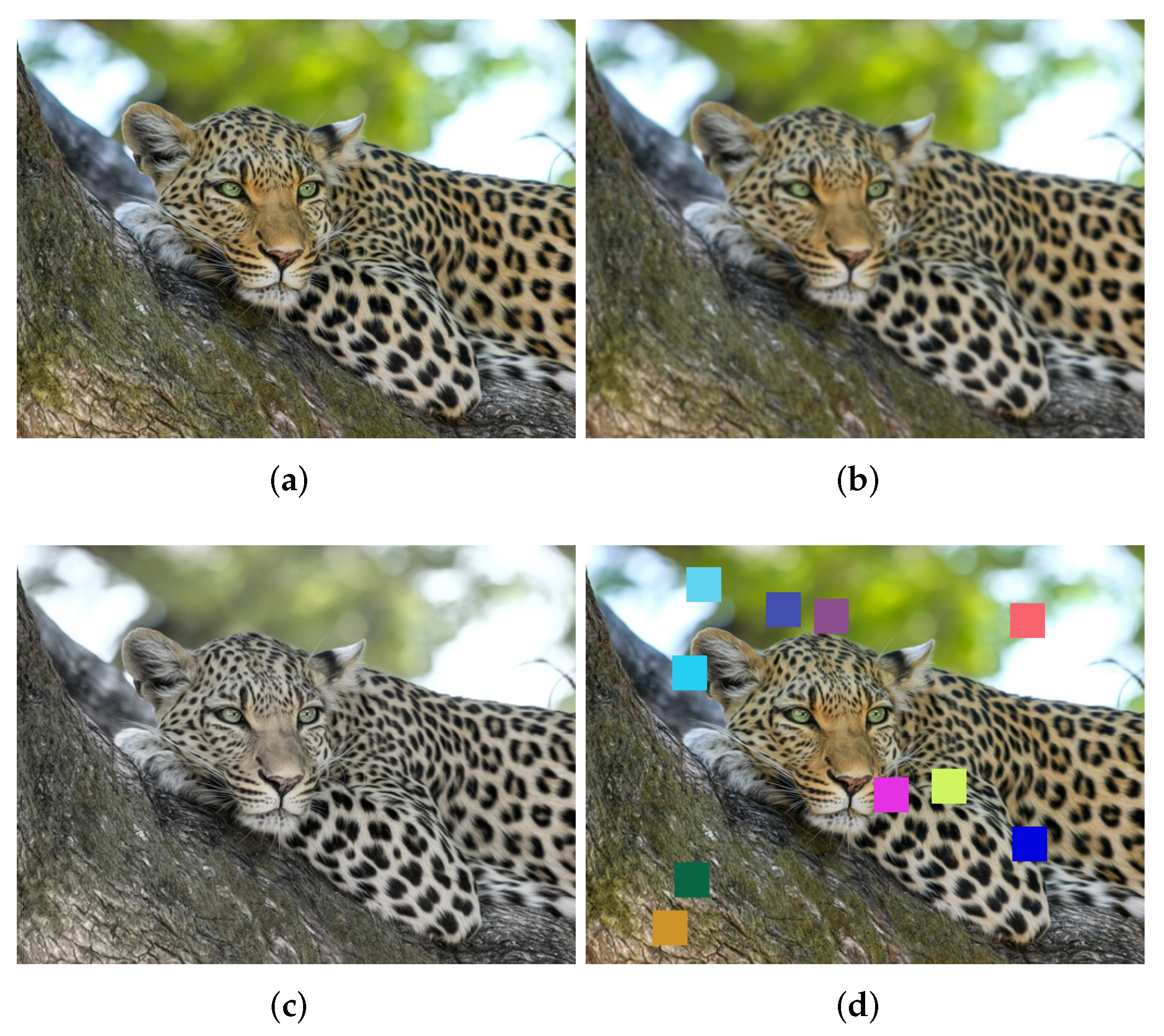 Electronics 11 00559 g006