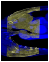 Electronics 11 00645 i030