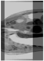 Electronics 11 00645 i032